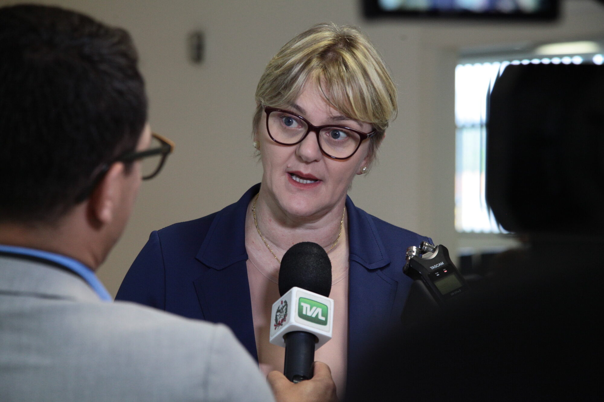Deputada Luciane Carminatti