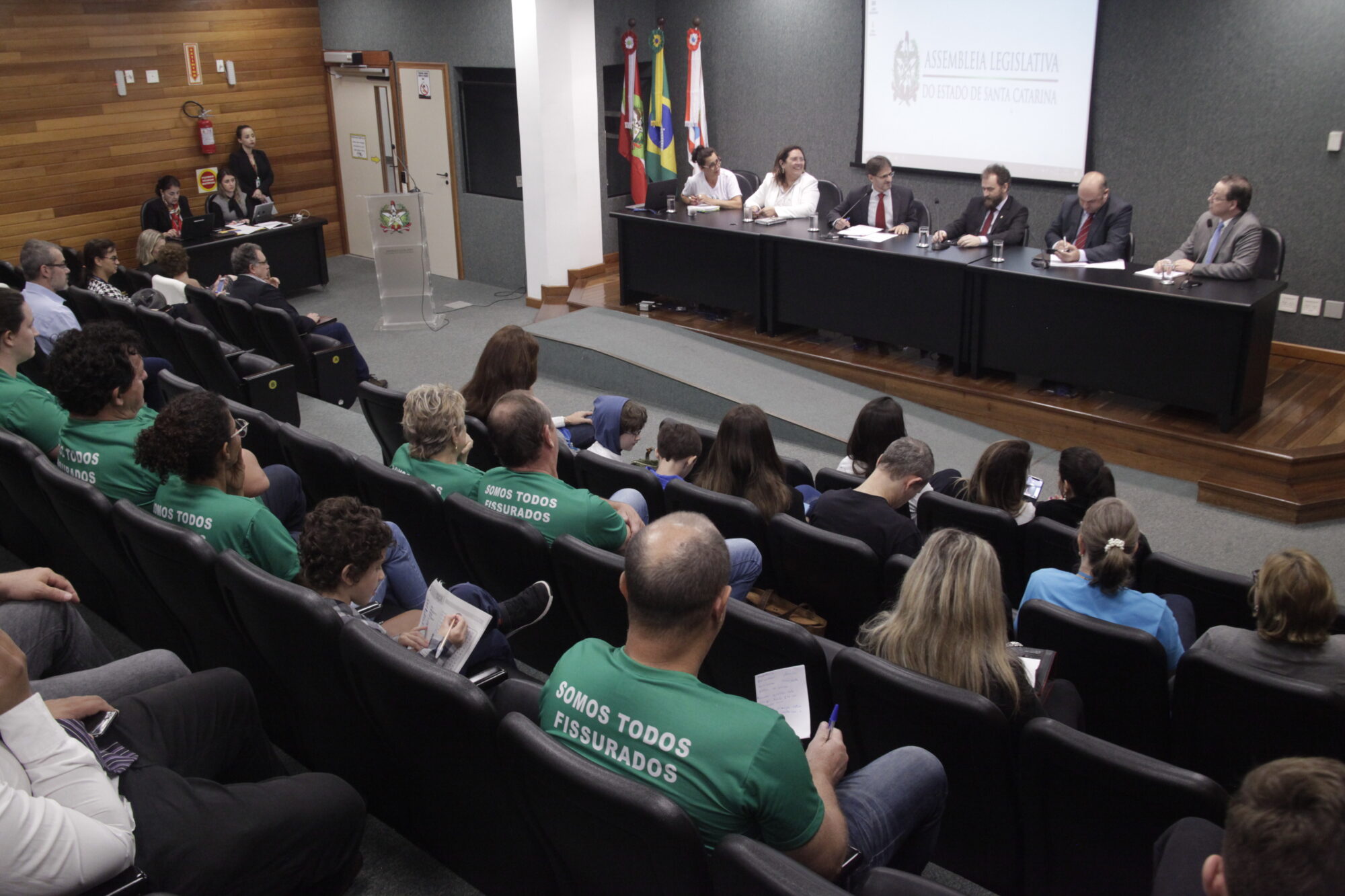 Deputado Neodi Saretta comandou a audiência pública