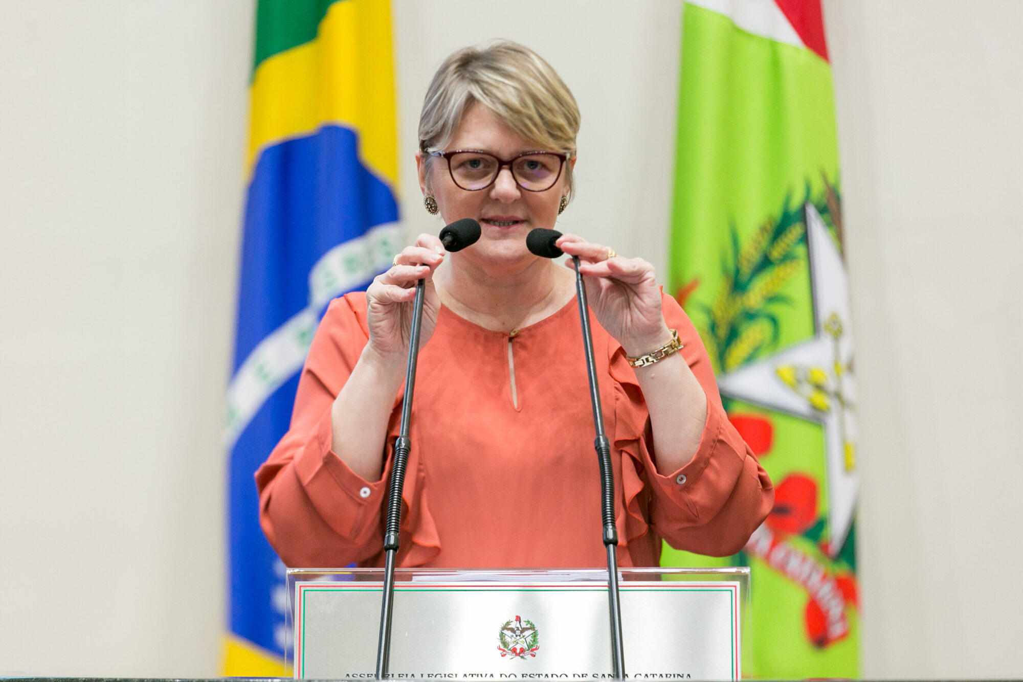 Deputada Luciane Carminatti