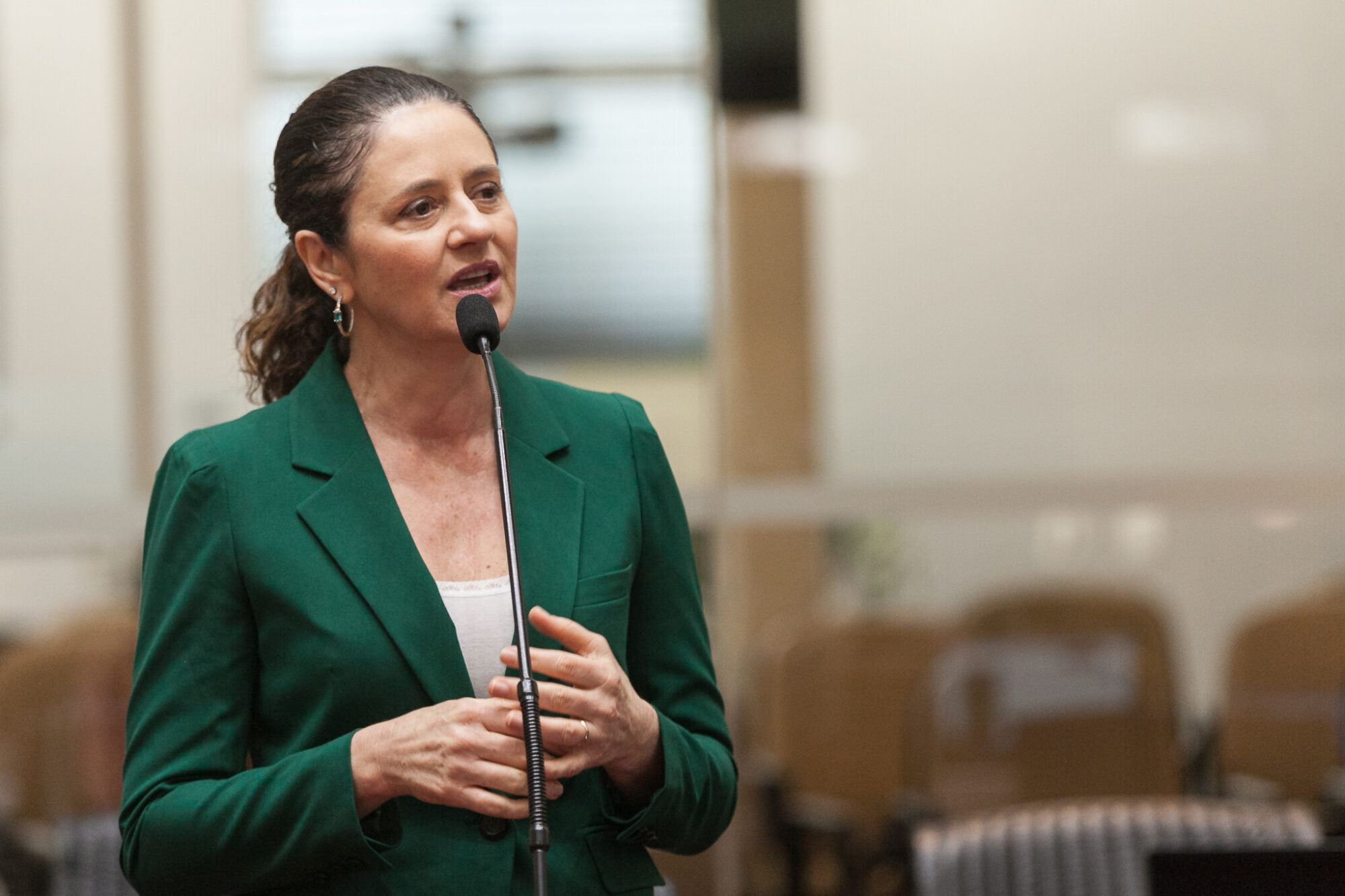 Deputada Marlene Fengler (PSD)