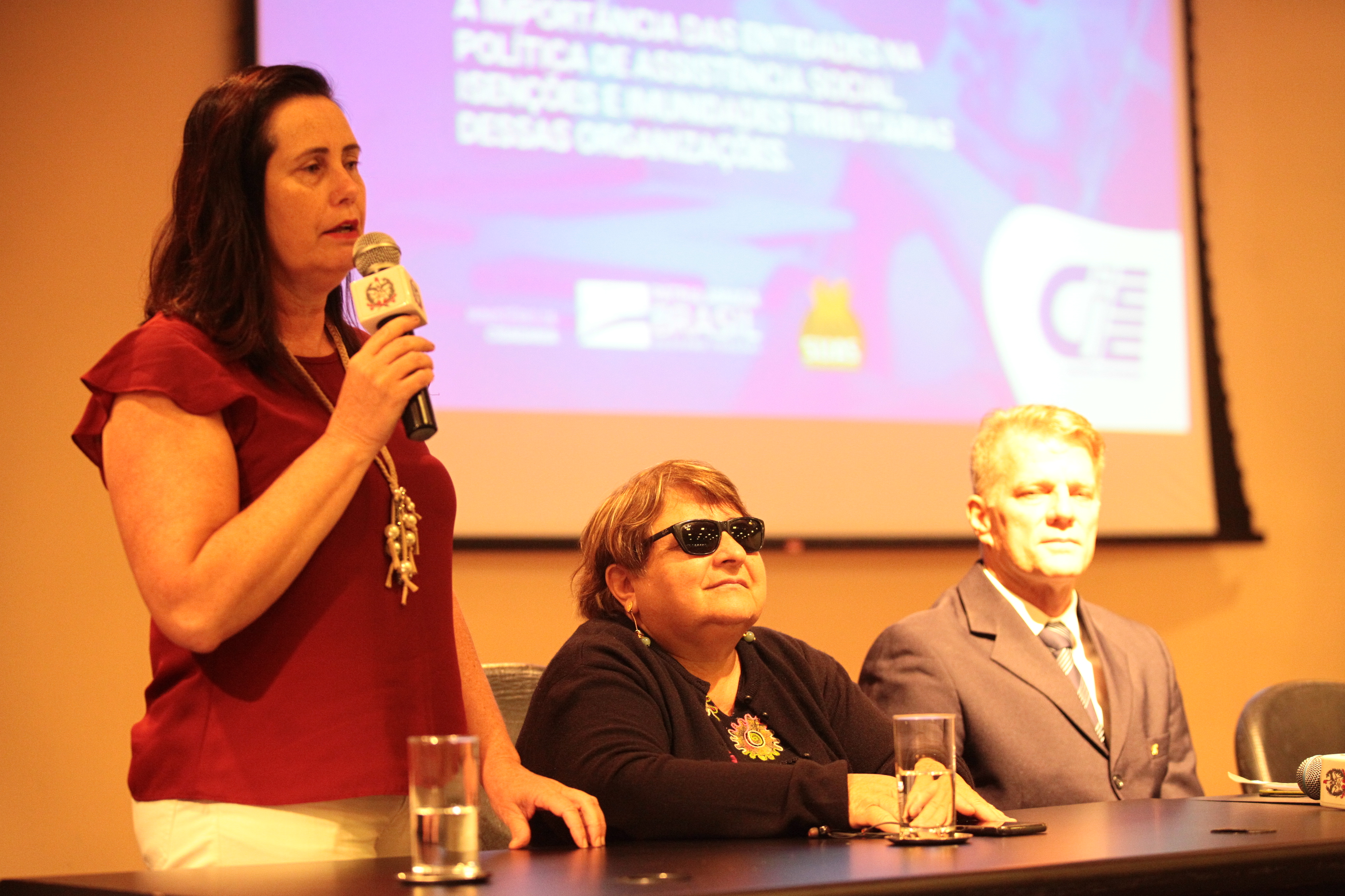 Seminário: A Importância das entidades na política de Assistência Social - Janice Merigo