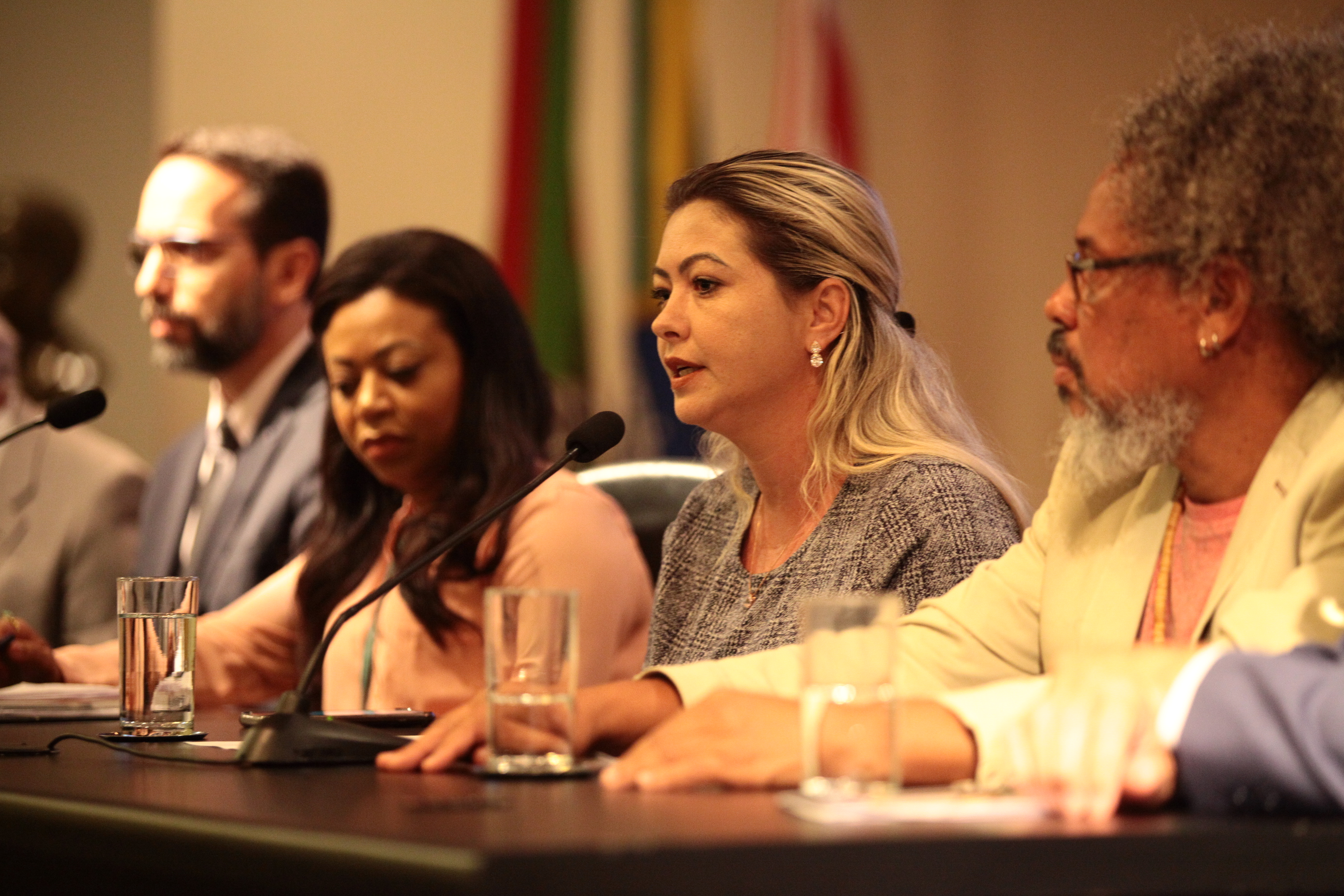 Seminário: A Importância das entidades na política de Assistência Social - Maria Cláudia Goulart