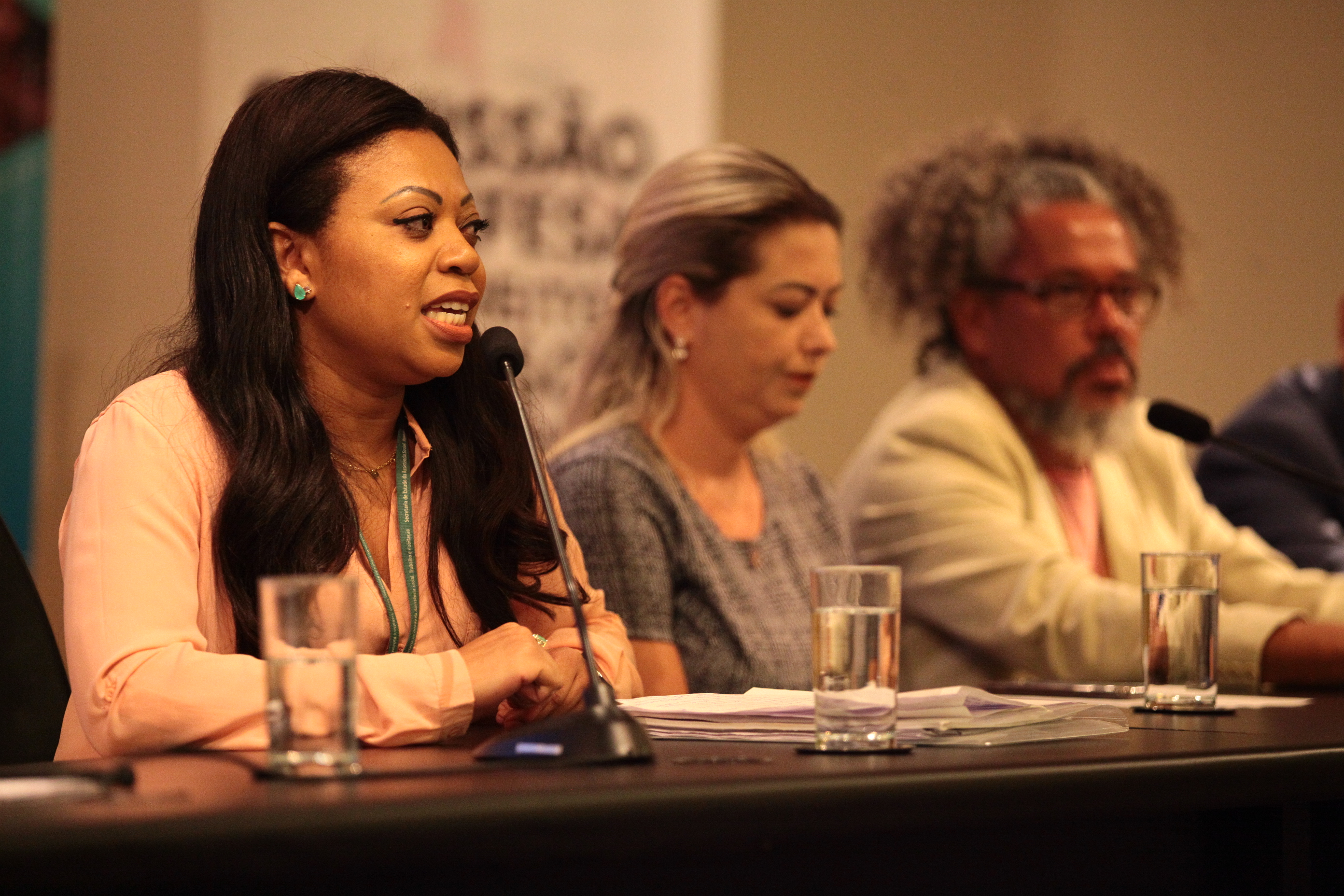 Seminário: A Importância das entidades na política de Assistência Social - Luciane dos Passos