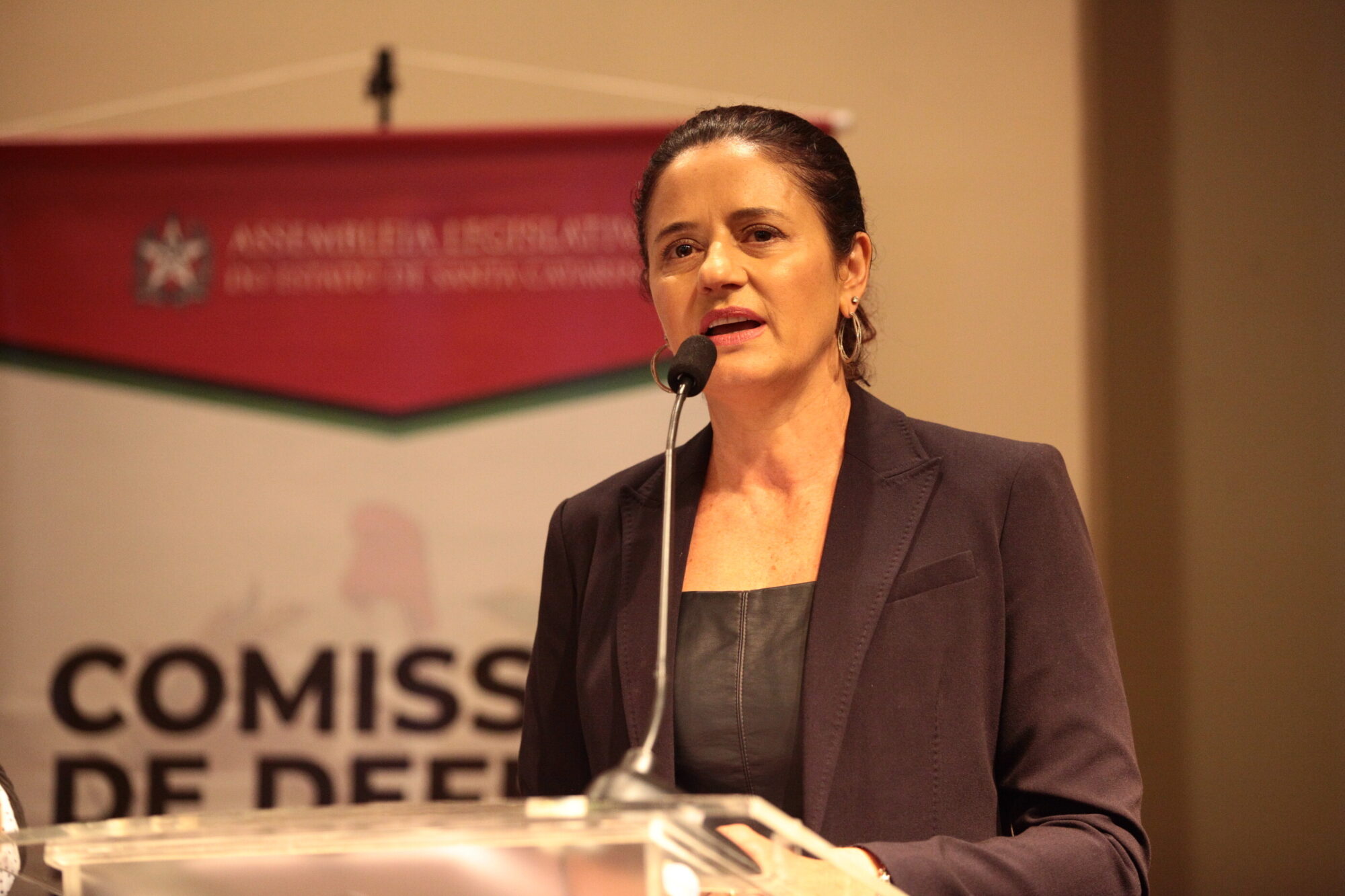 Deputada Marlene Fengler