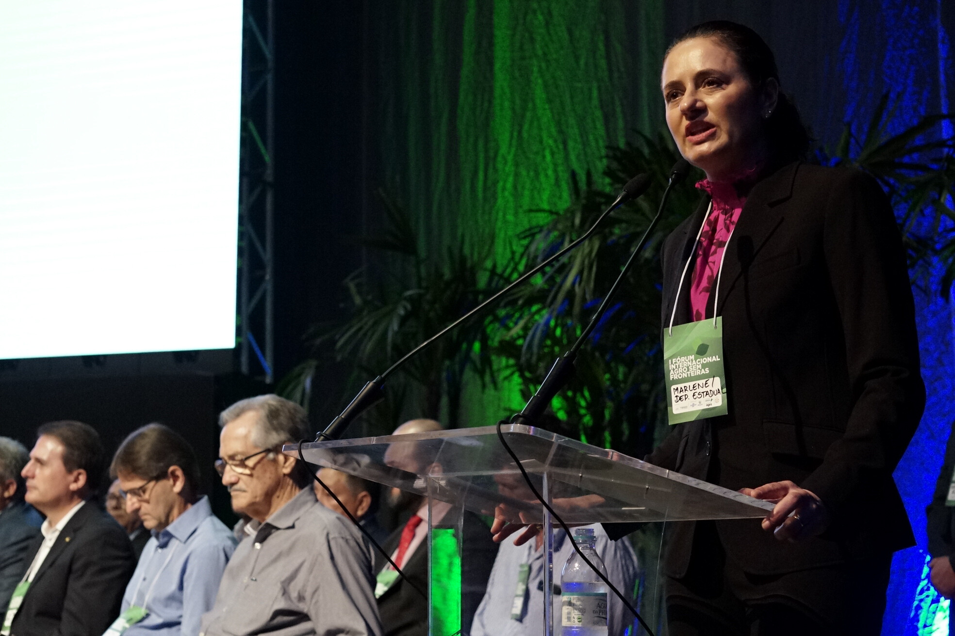 Deputada Marlene Fengler