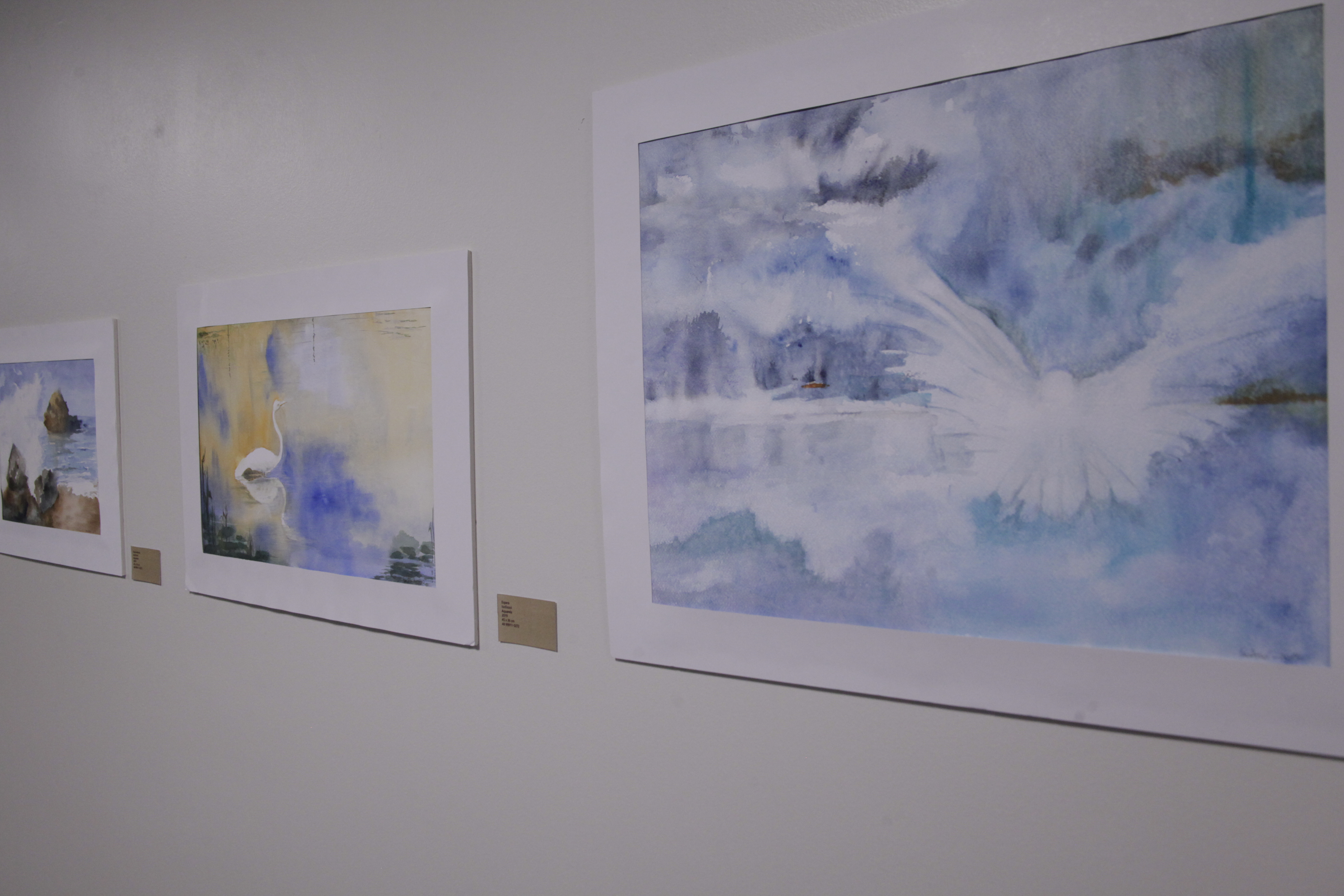 Exposição Águas