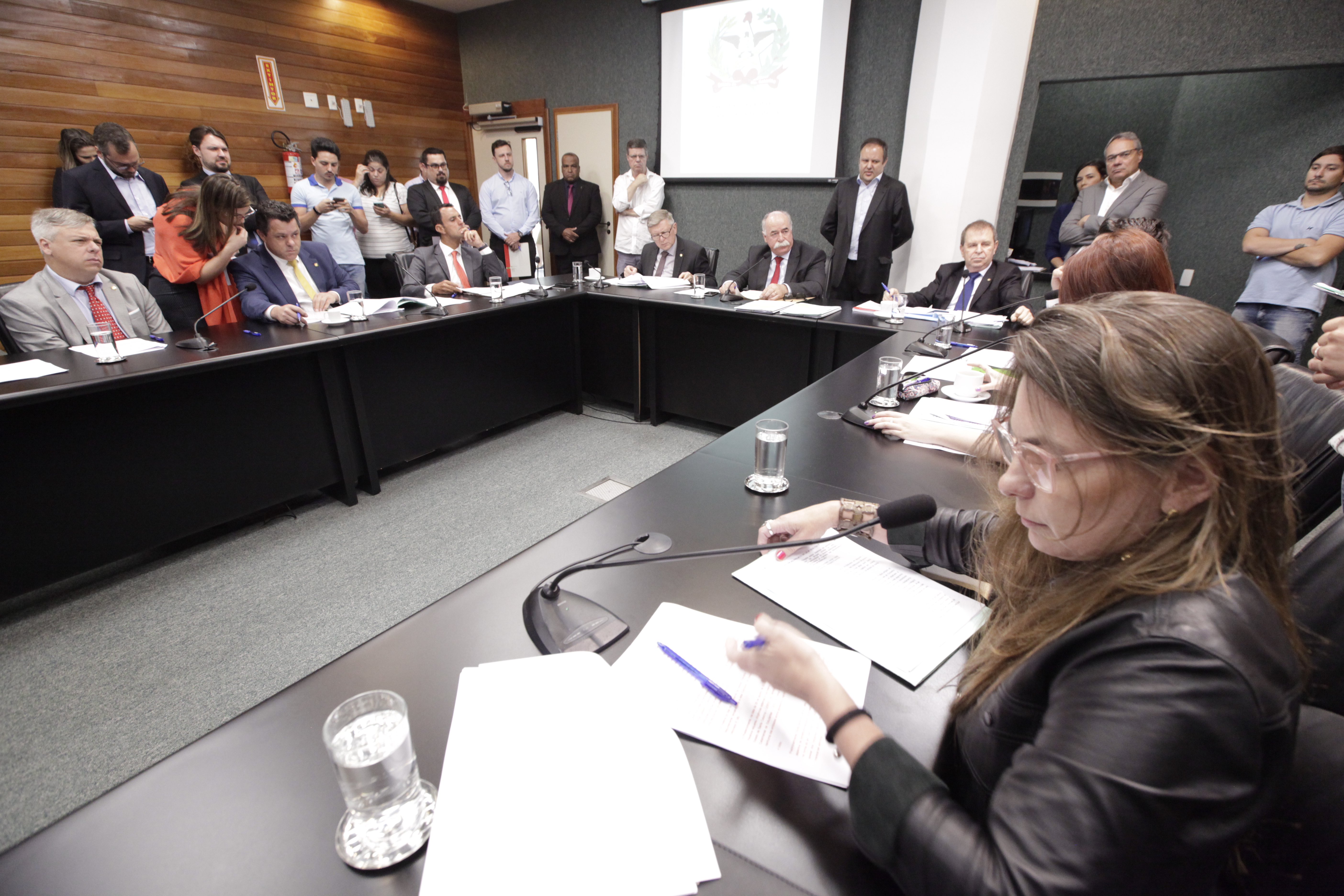 Comissão Constituição e Justiça