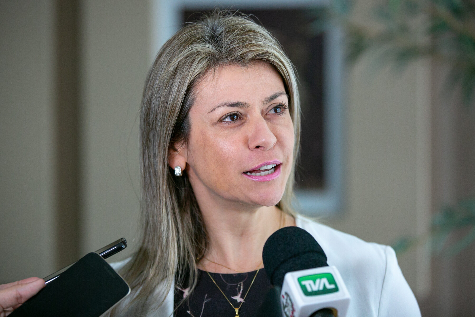 Advogada Cláudia Bressan da Silva, palestrante