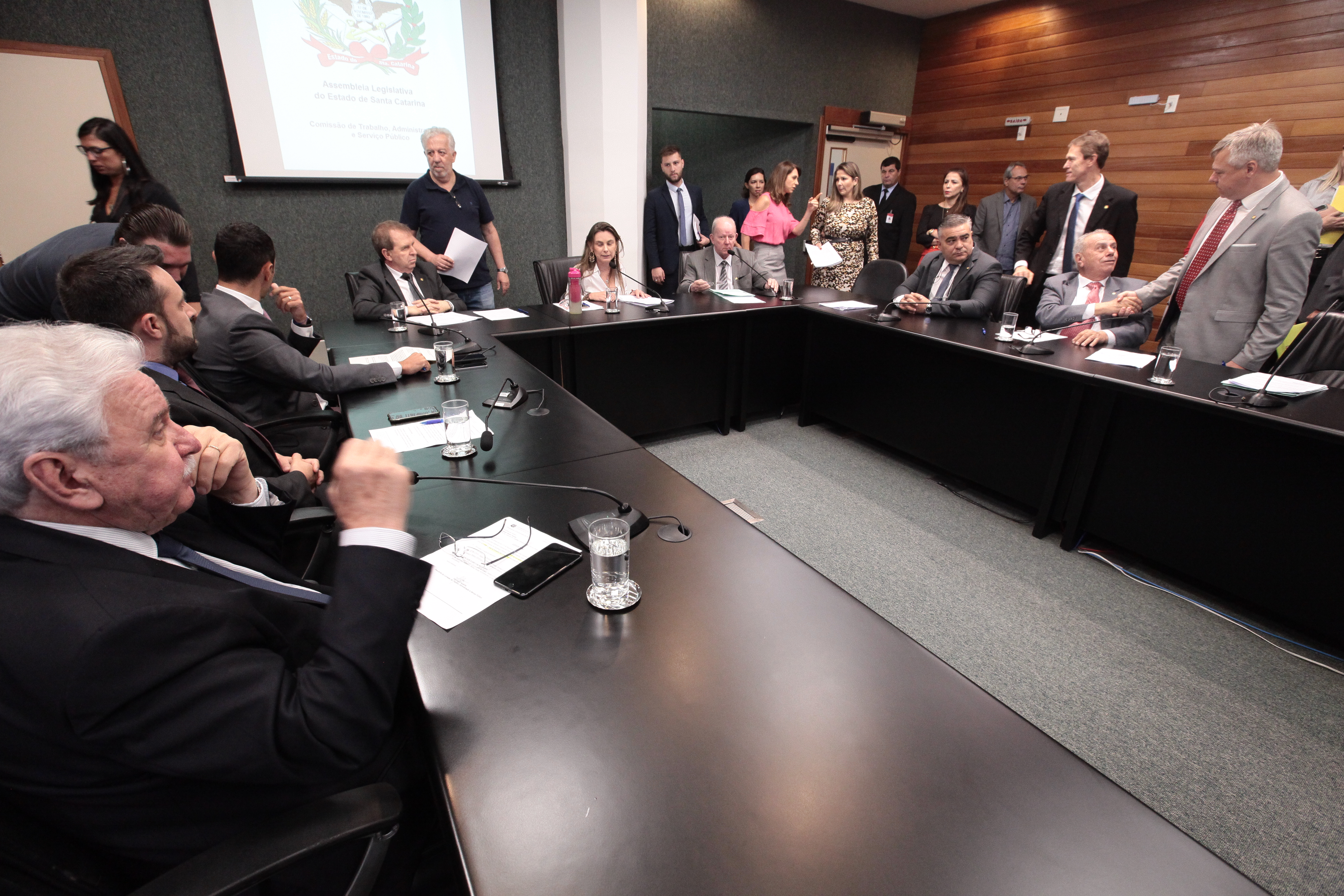 Comissão Mista Trabalho e Segurança Pública