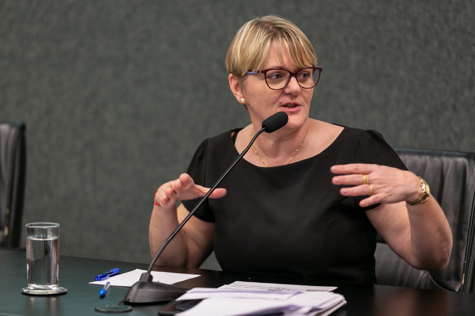 Deputada Luciane Carminatti