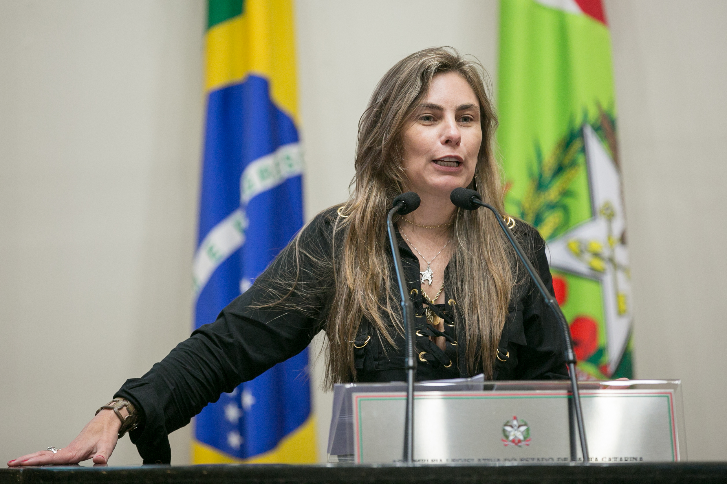Deputada Paulinha (PDT)