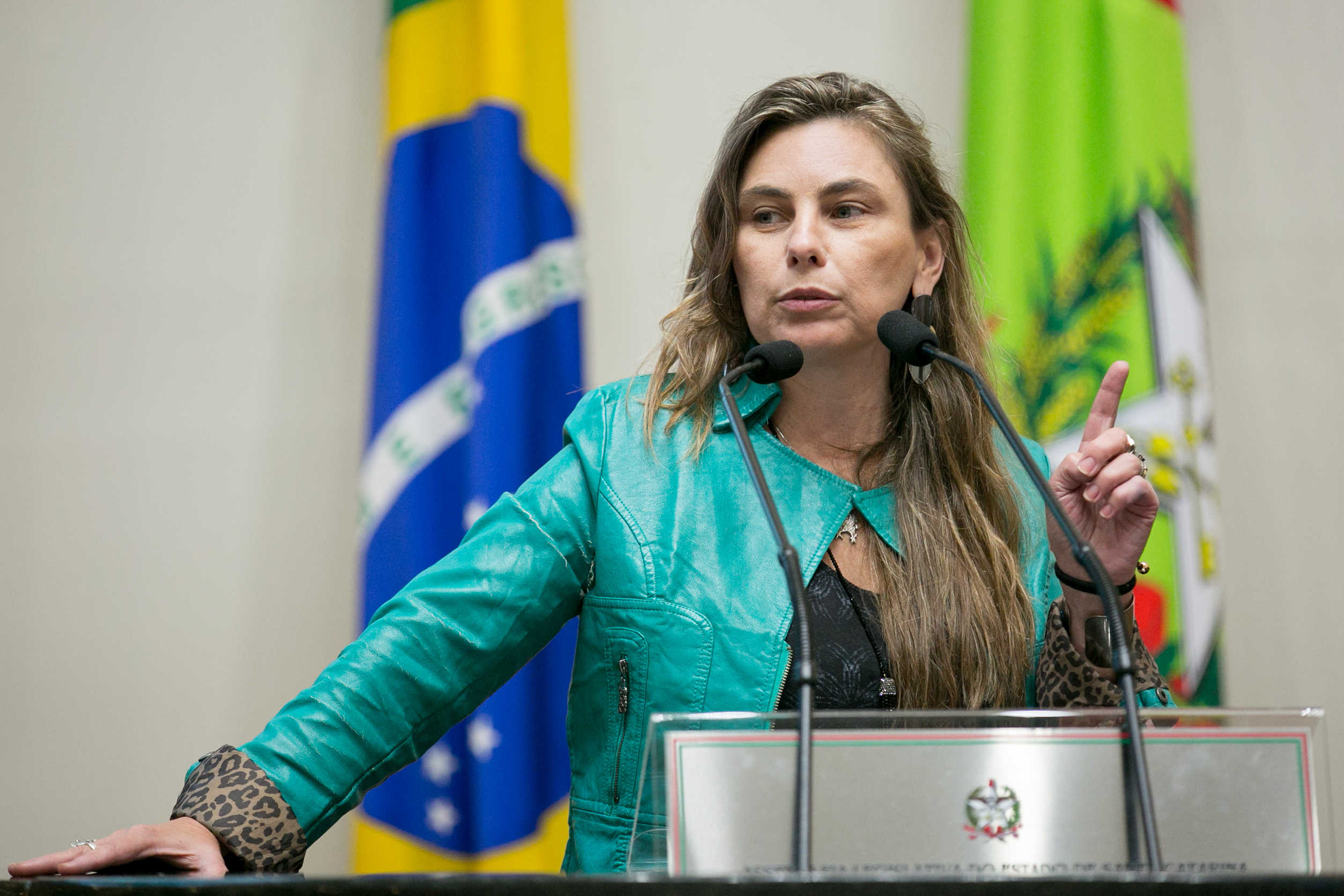 Deputada Paulinha (PDT)