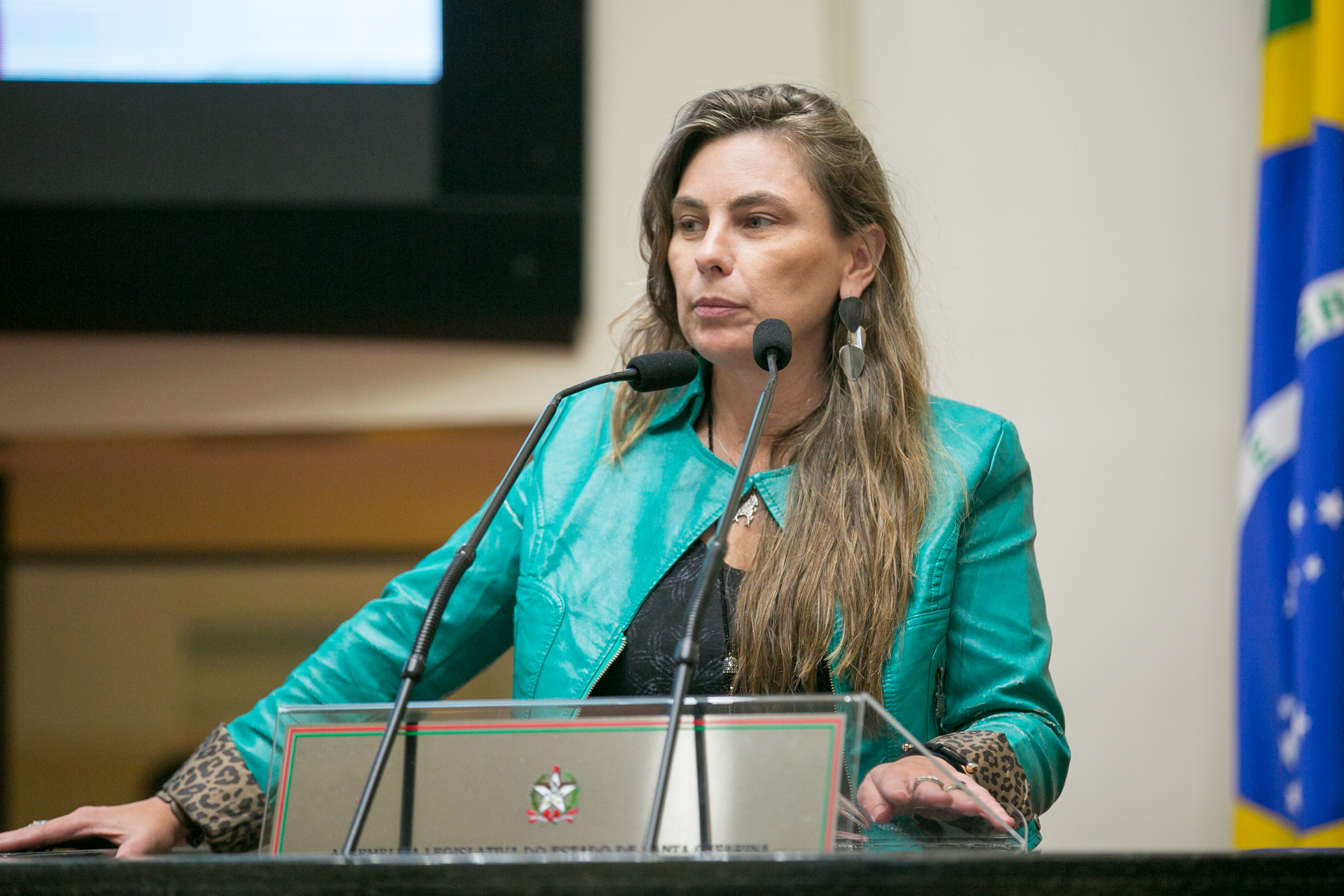 Deputada Paulinha (PDT)