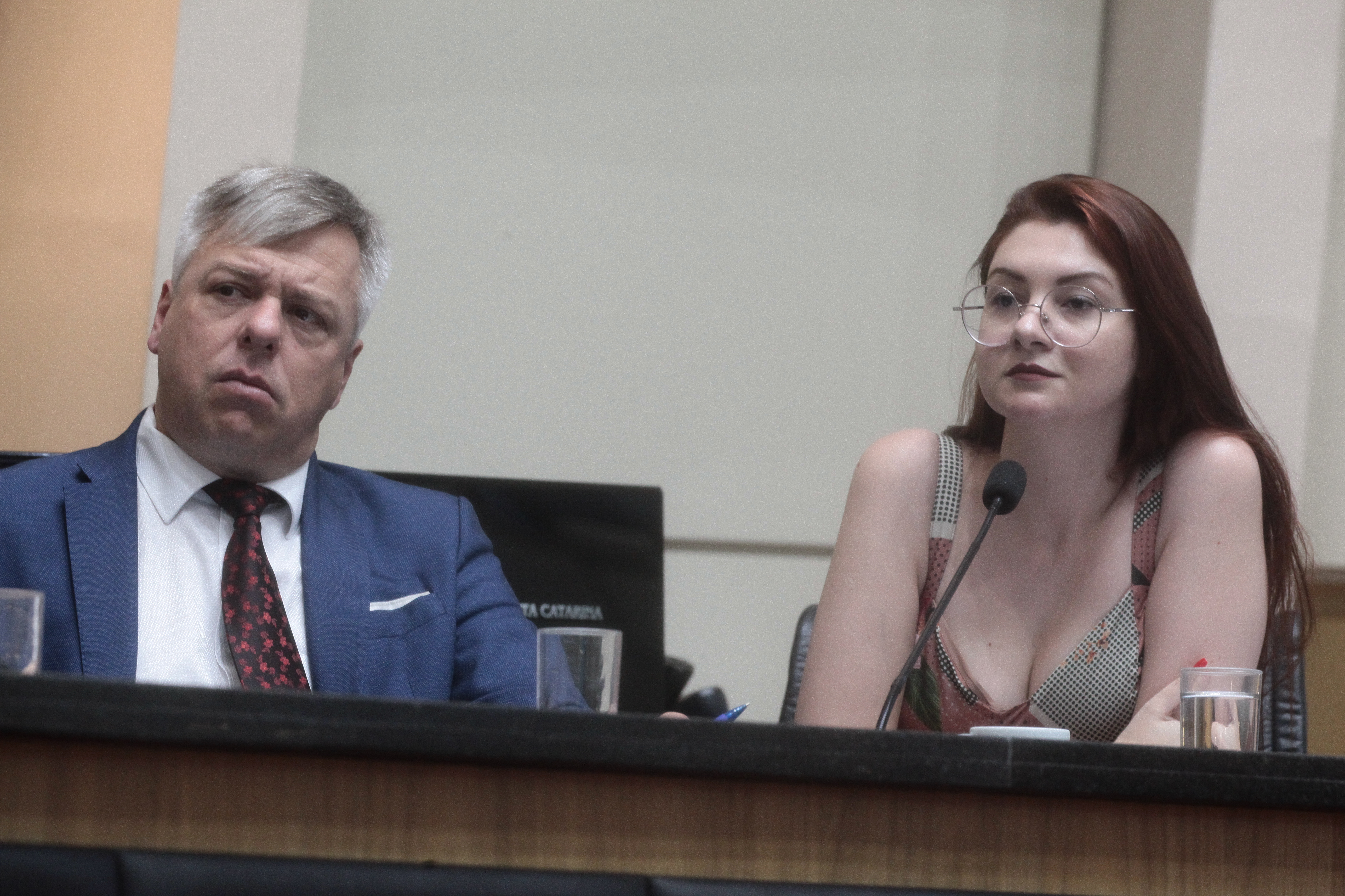Comissão de Constituição e Justiça