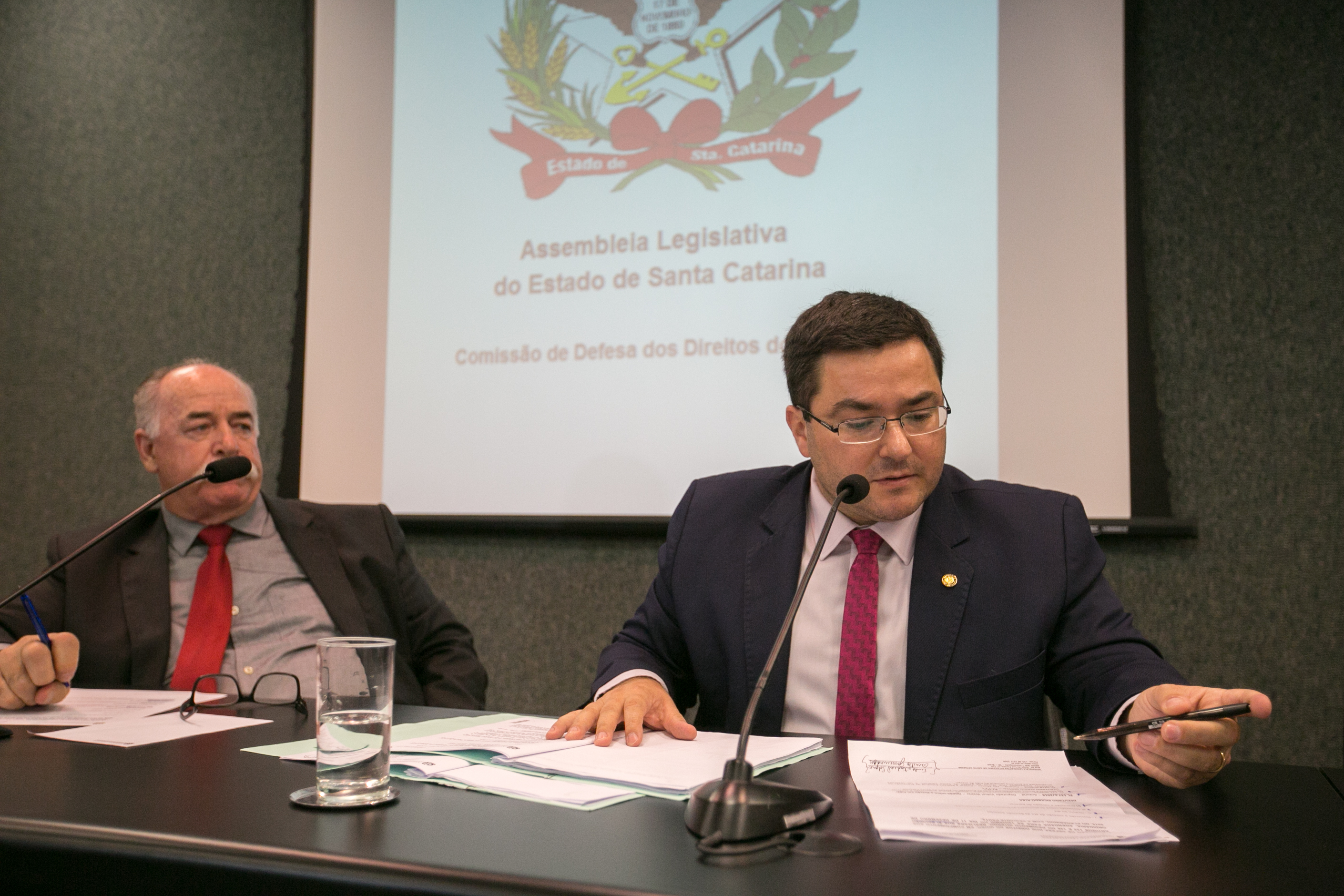 Deputado Ricardo Alba (PSL)