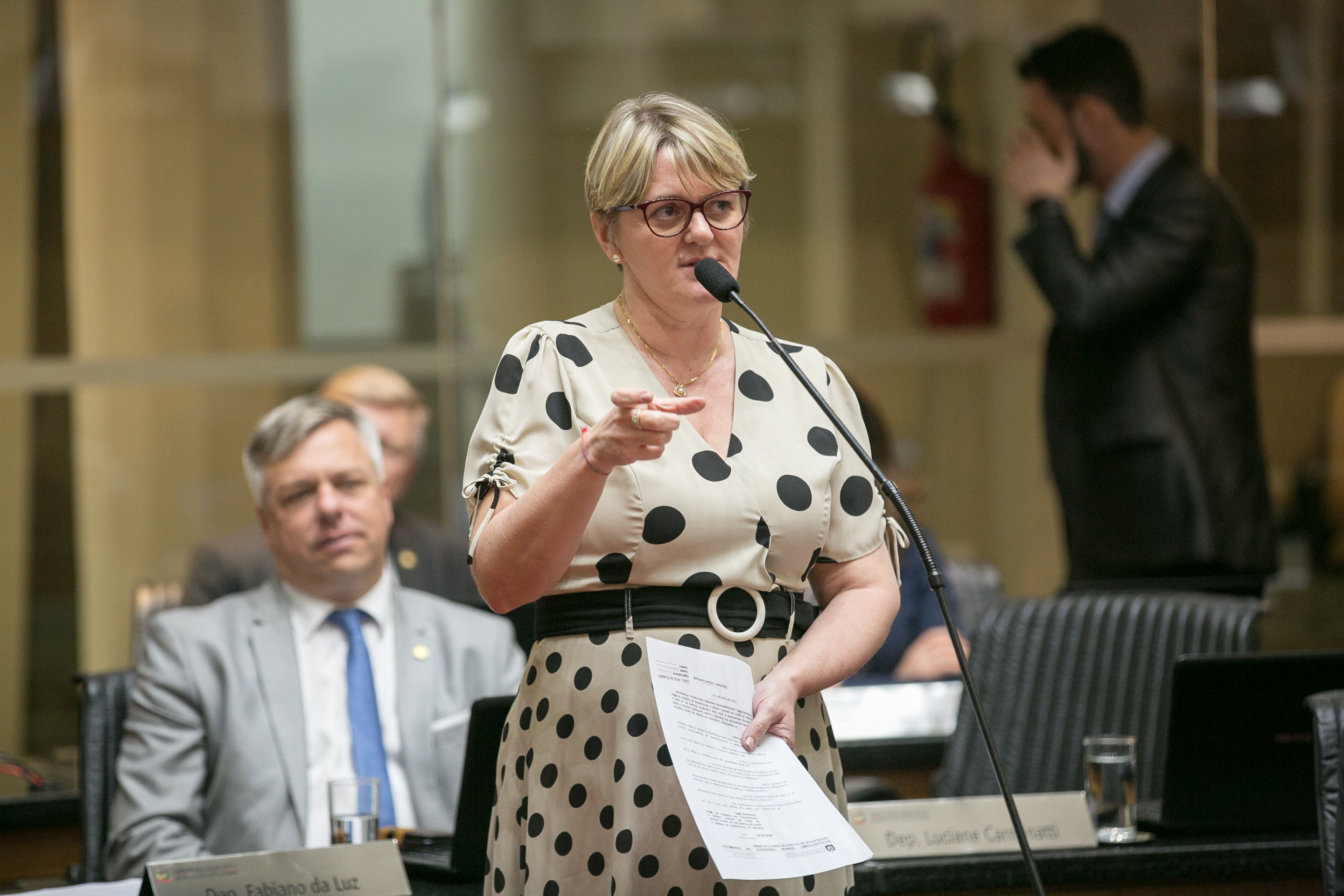 Deputada Luciane Carminatti (PT)