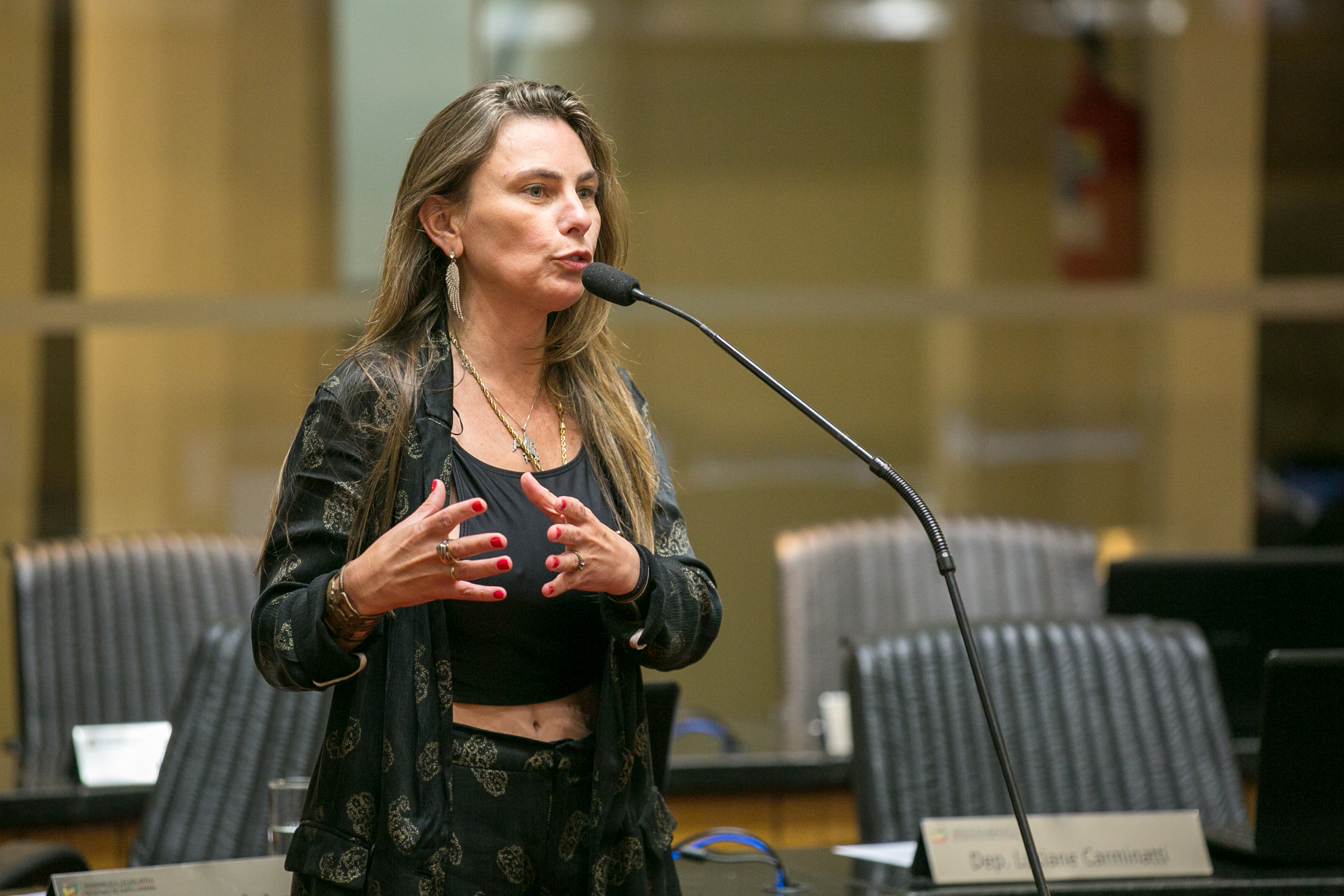 Deputada Paulinha (PDT)