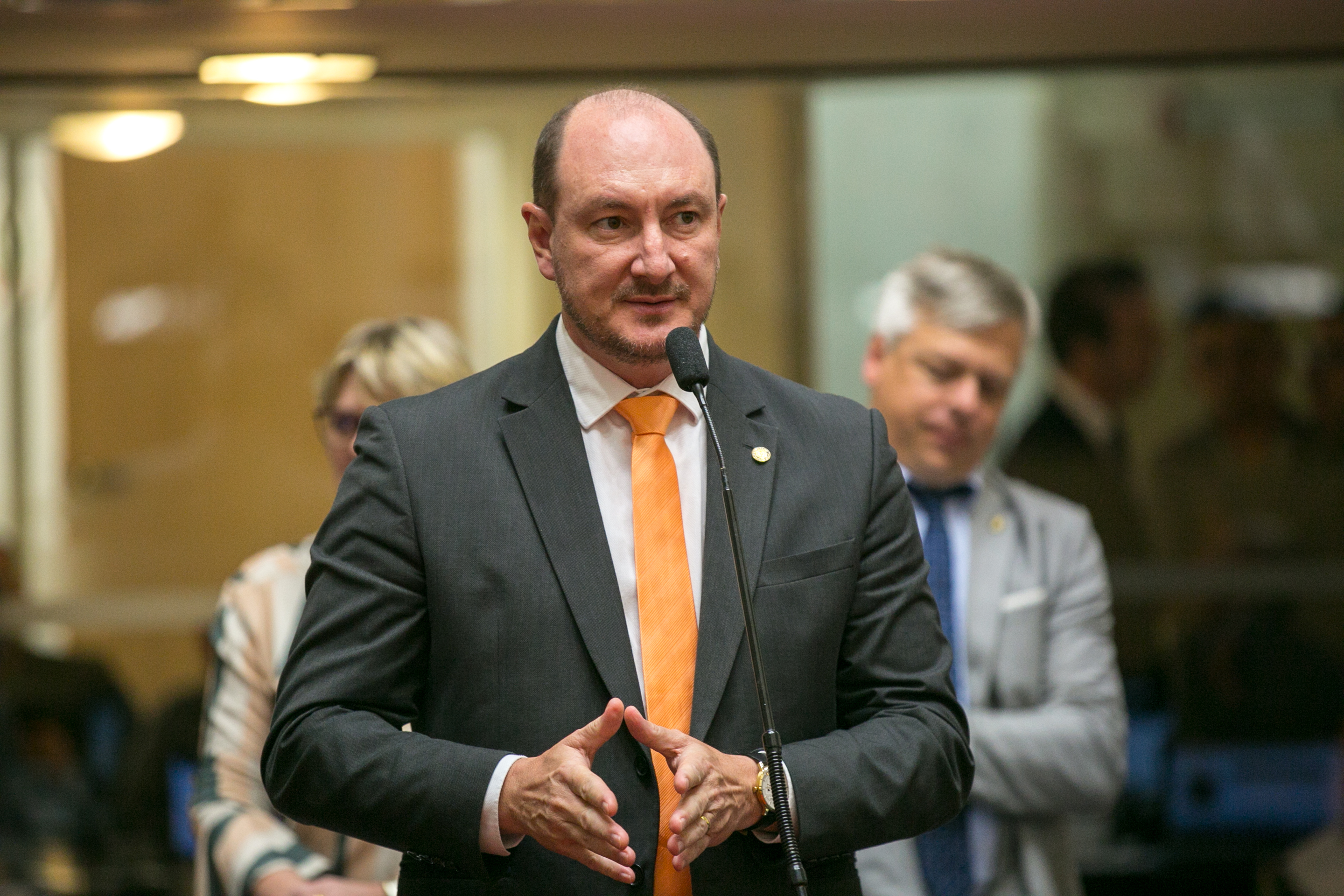 Deputado Mauro de Nadal (MDB)