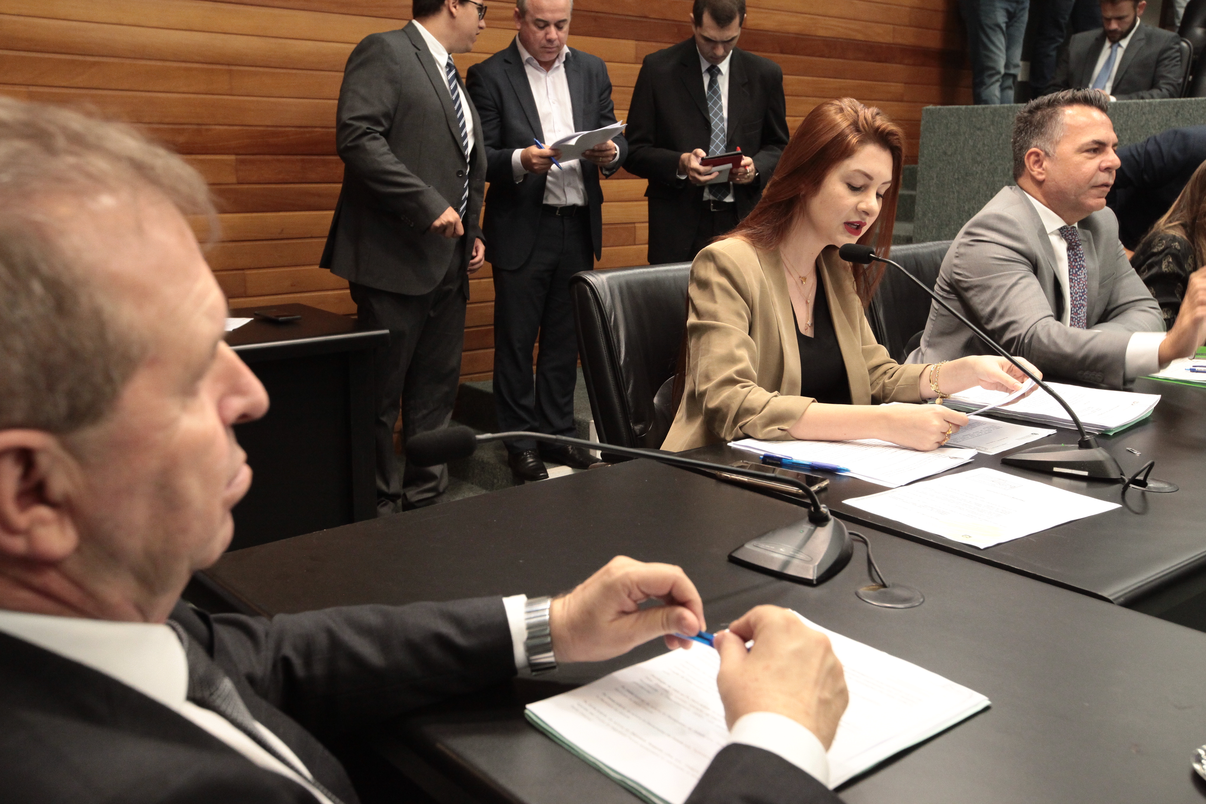 - Comissão de Constituição e Justiça