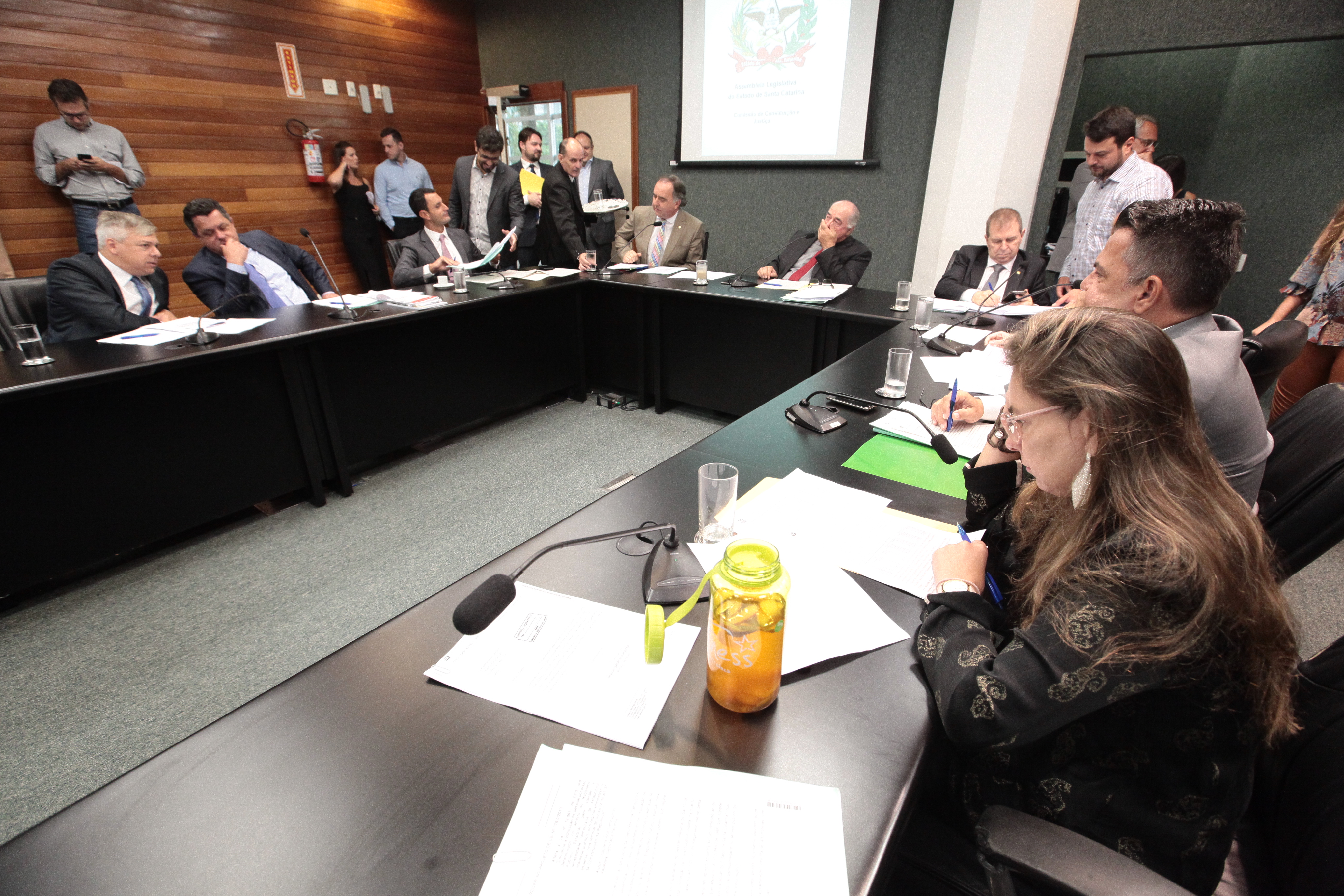 - Comissão de Constituição e Justiça