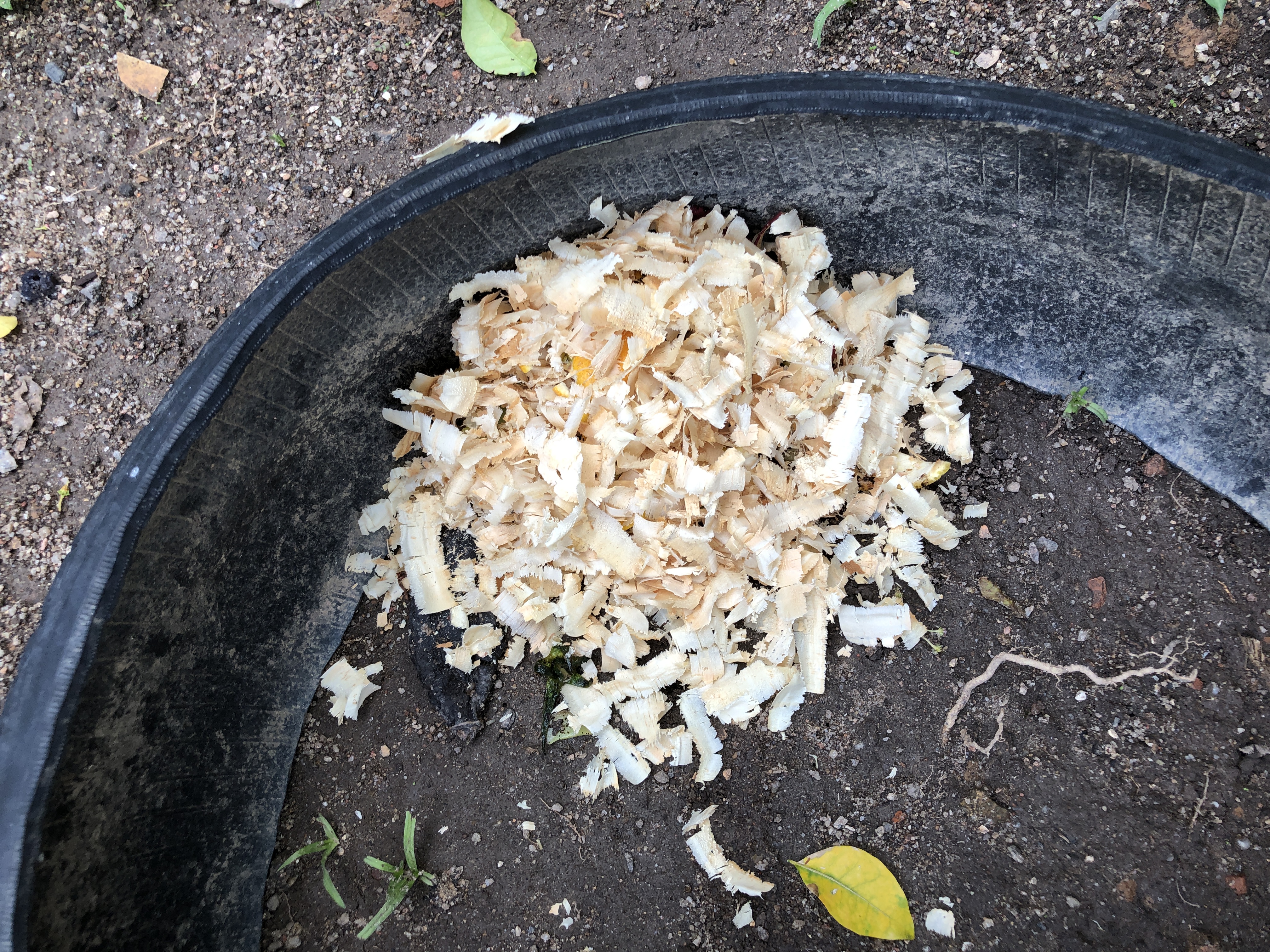 Palestras do Lixo Orgânico Zero no Oeste de SC - Compostagem