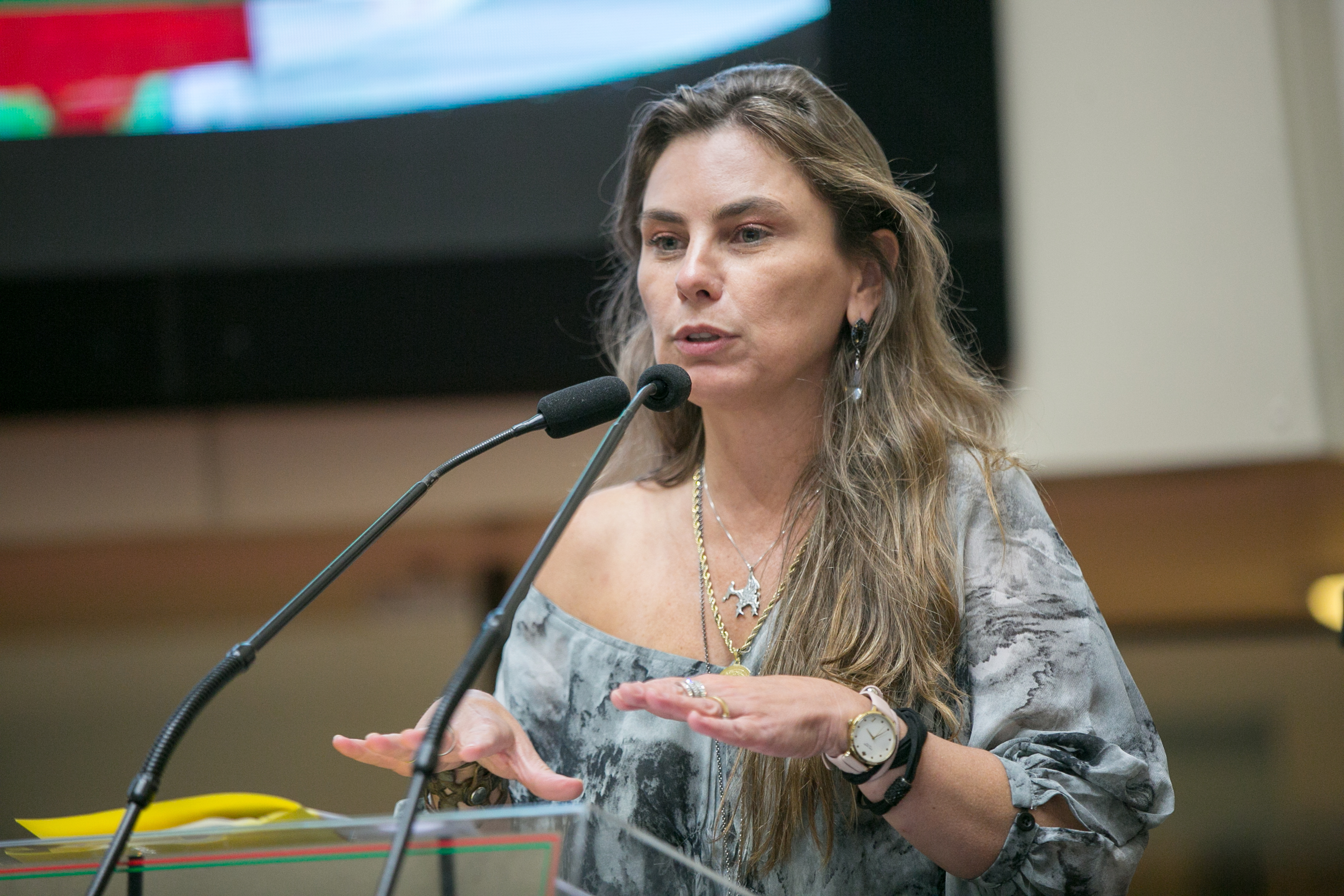 Deputada Paulinha (PDT)