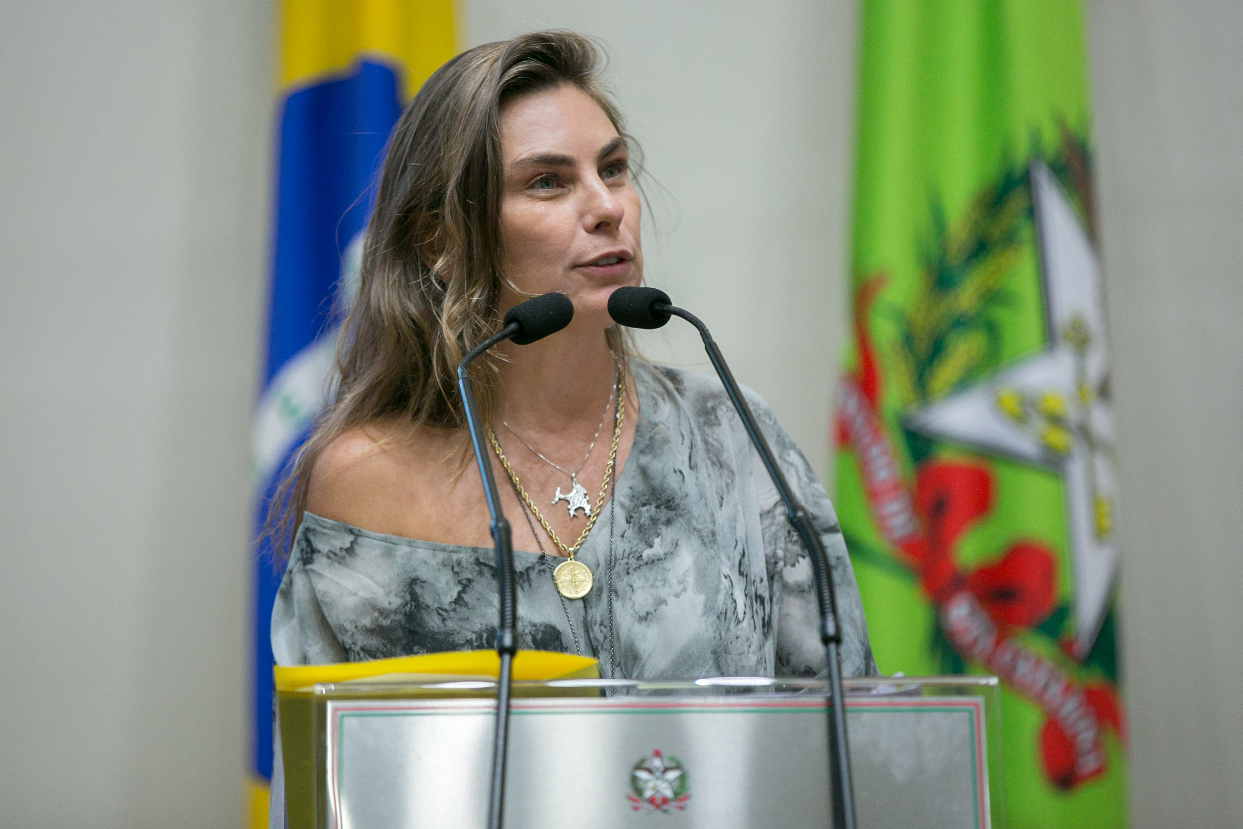 Deputada Paulinha (PDT)