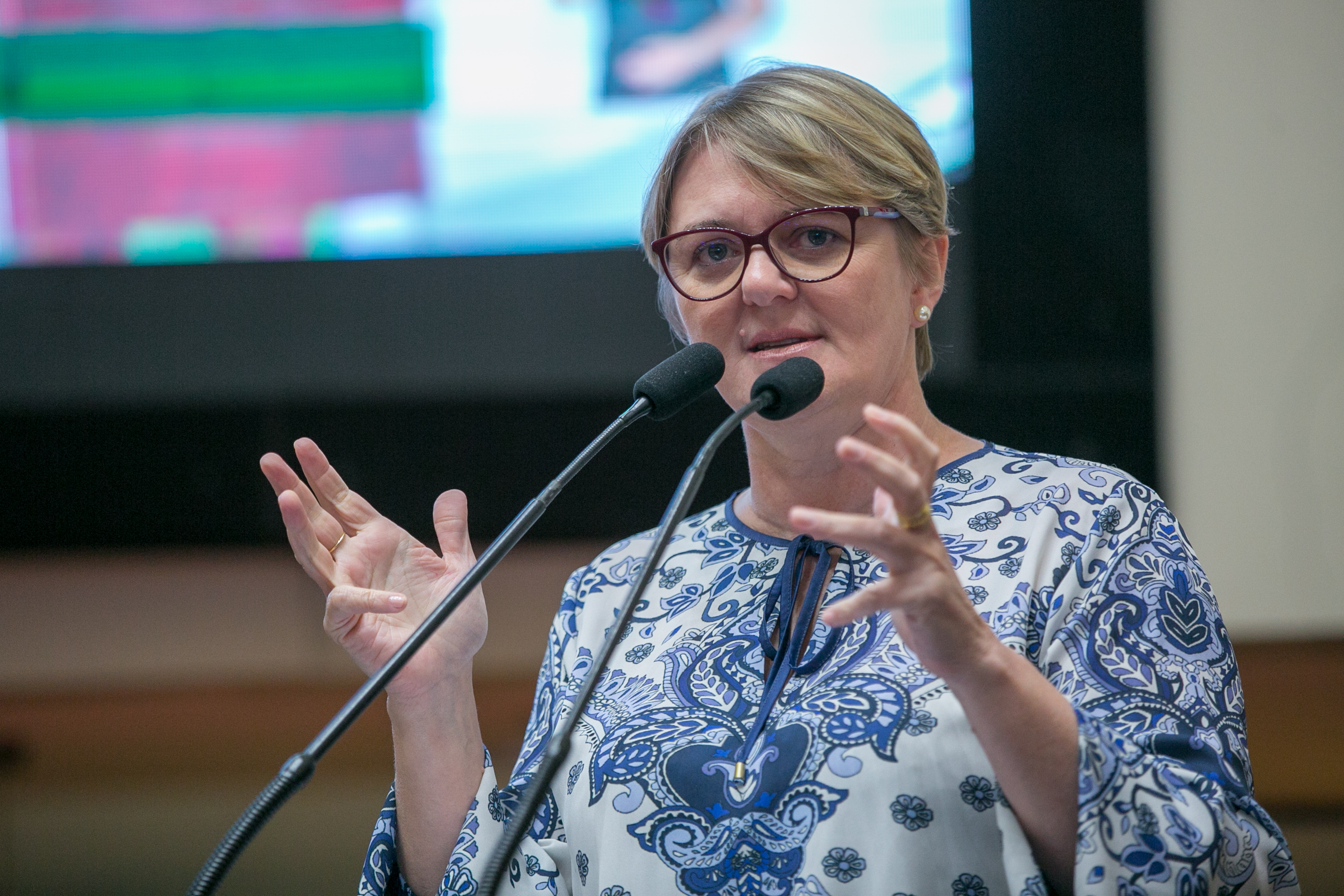 Deputada Luciane Carminatti (PT)