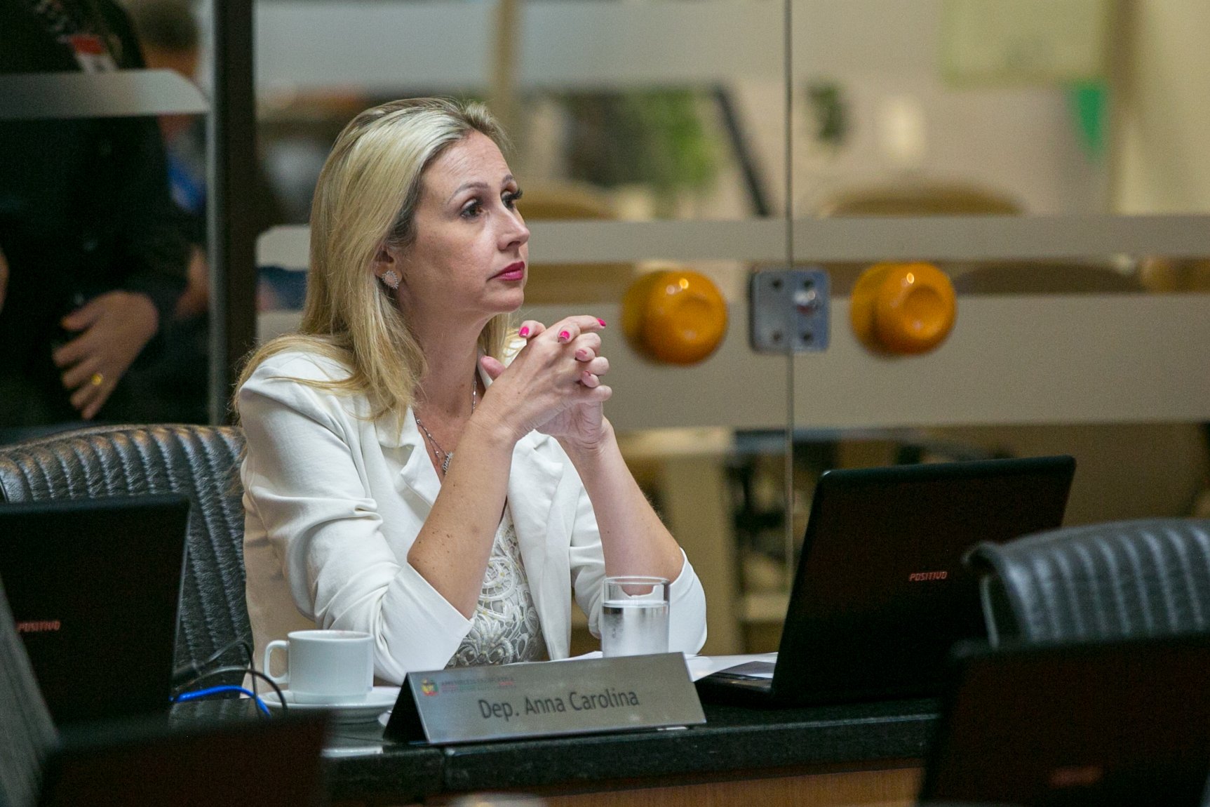 Deputada Anna Carolina (PSDB)