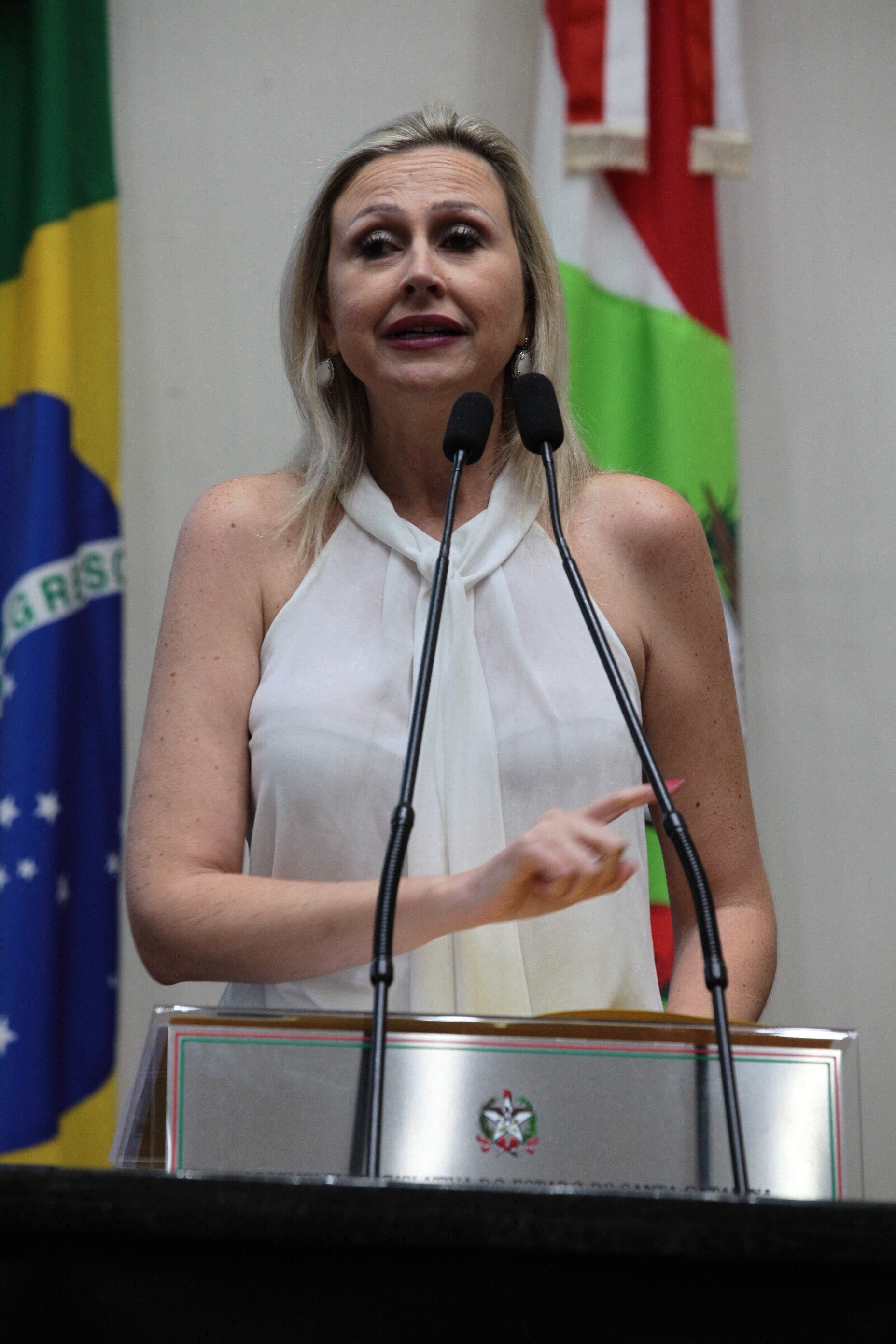 Sessão Plenária em 12/02/2020 - Deputadan Anna Carolina (PSDB)