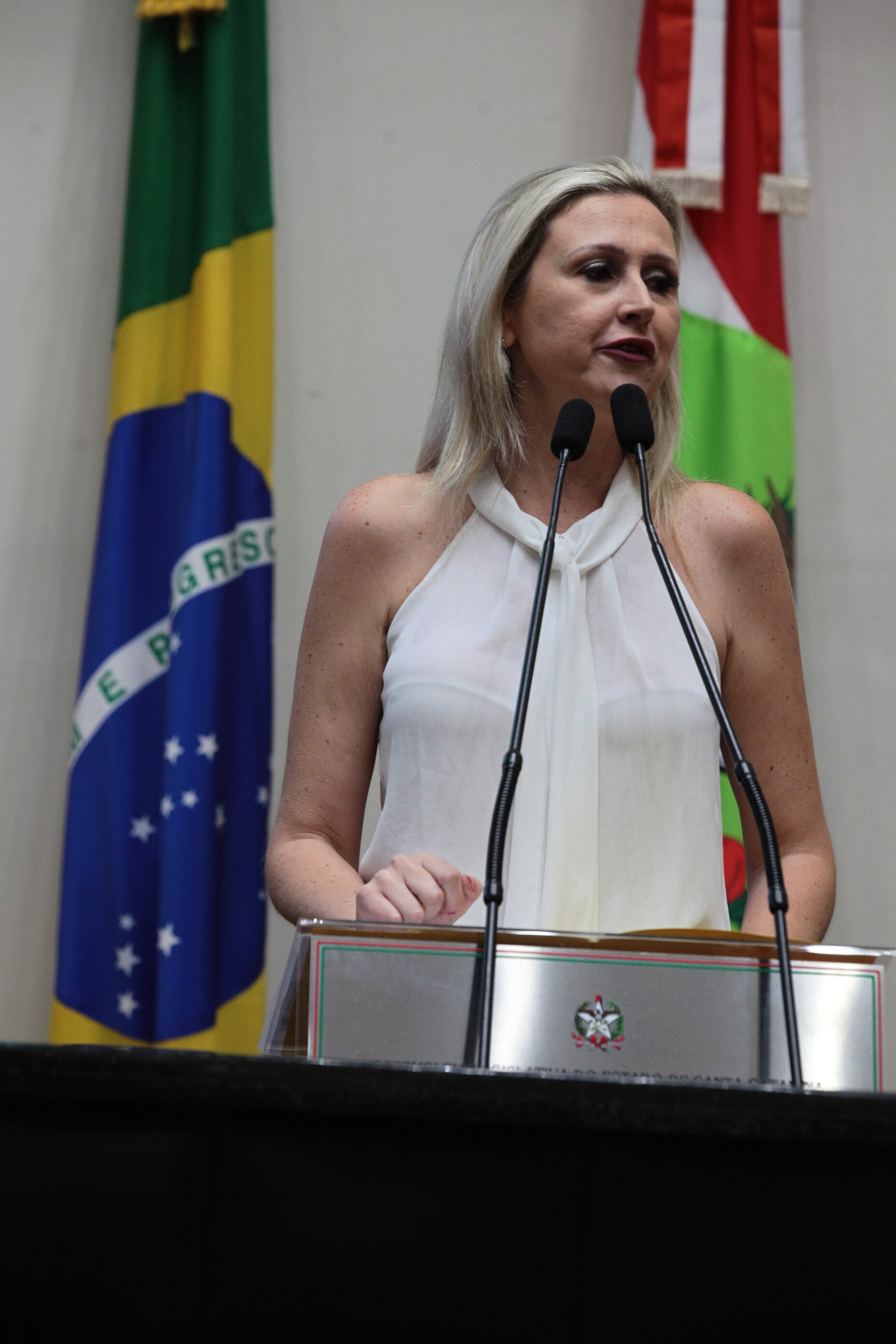 Sessão Plenária em 12/02/2020 - Deputadan Anna Carolina (PSDB)