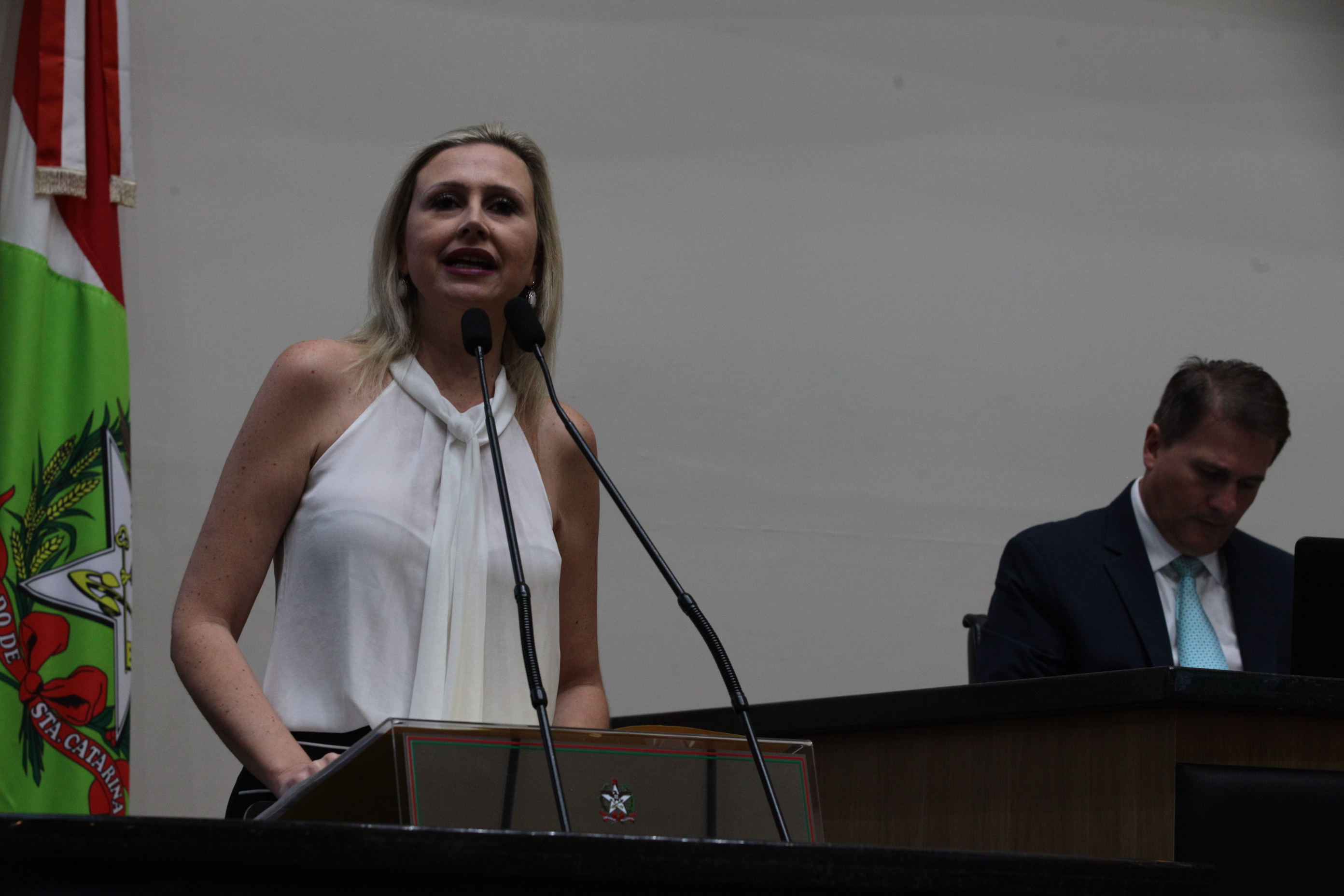 Sessão Plenária em 12/02/2020 - Deputadan Anna Carolina (PSDB)