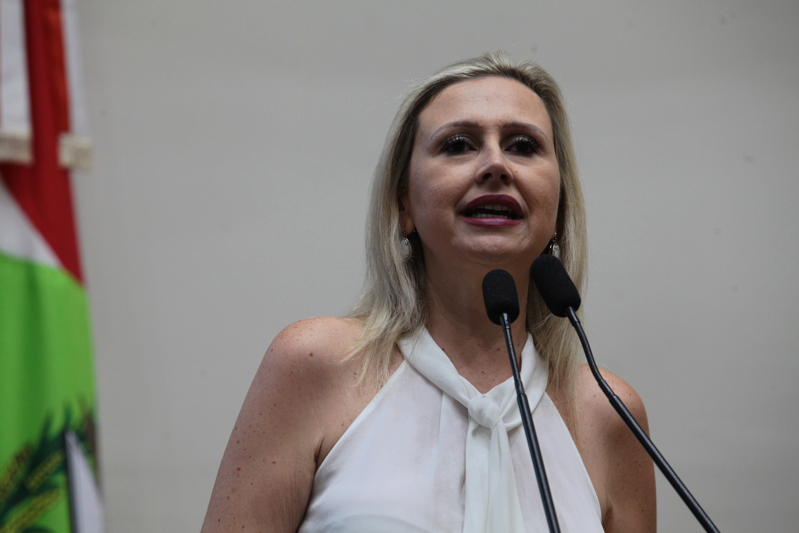 Sessão Plenária em 12/02/2020 - Deputadan Anna Carolina (PSDB)
