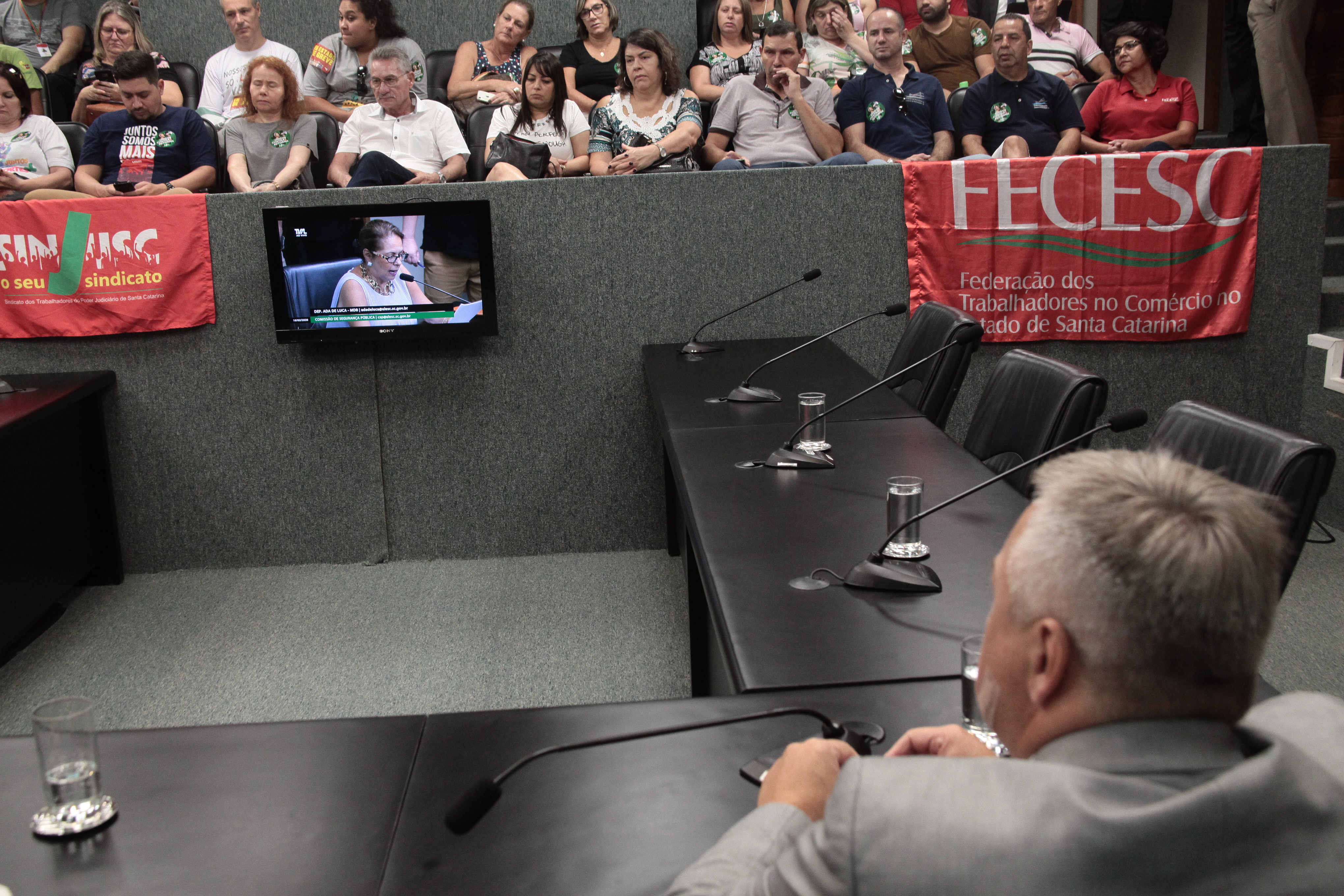 Comissão de Segurança Pública