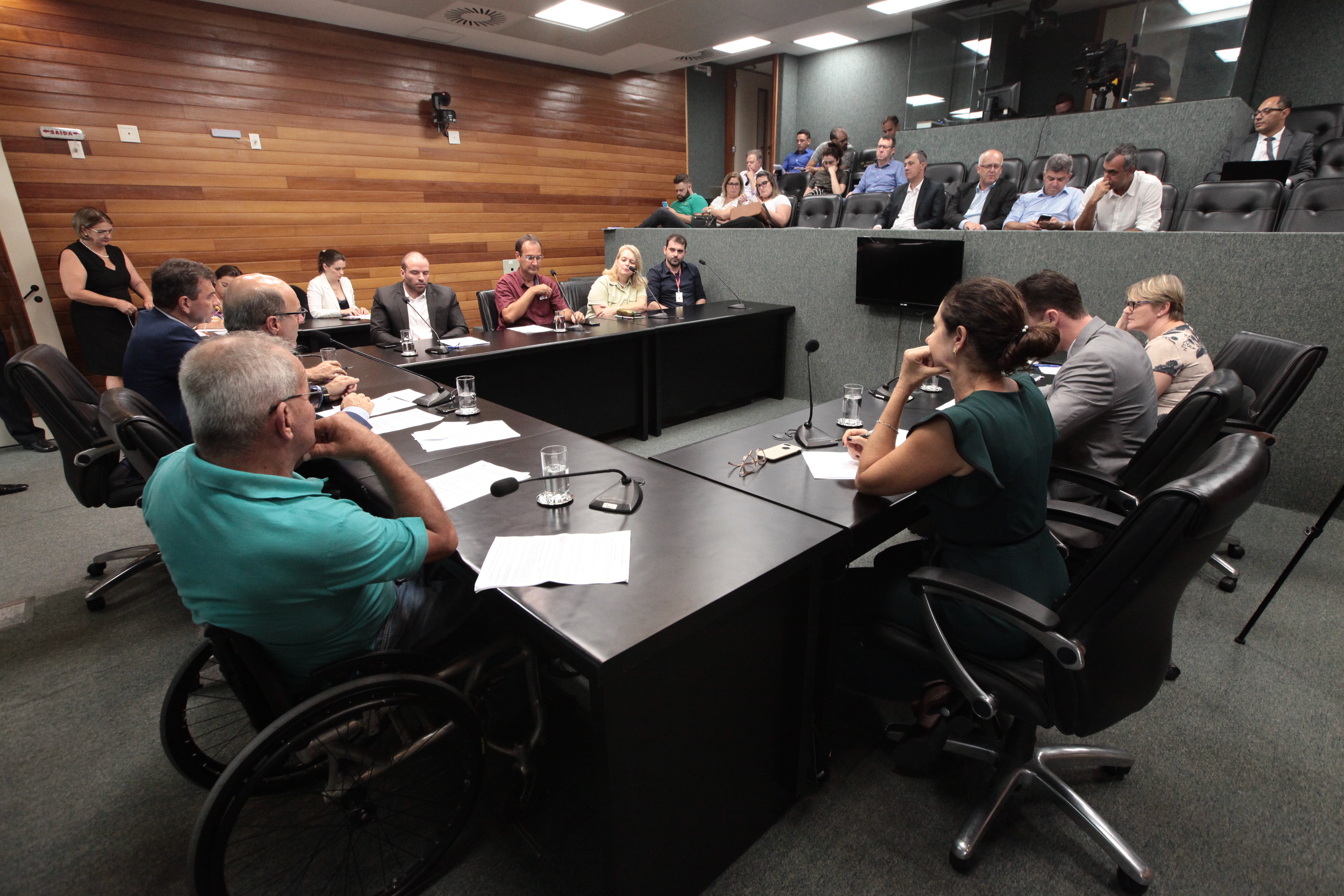 Comissão de Defesa dos Direitos da Pessoa com Deficiência