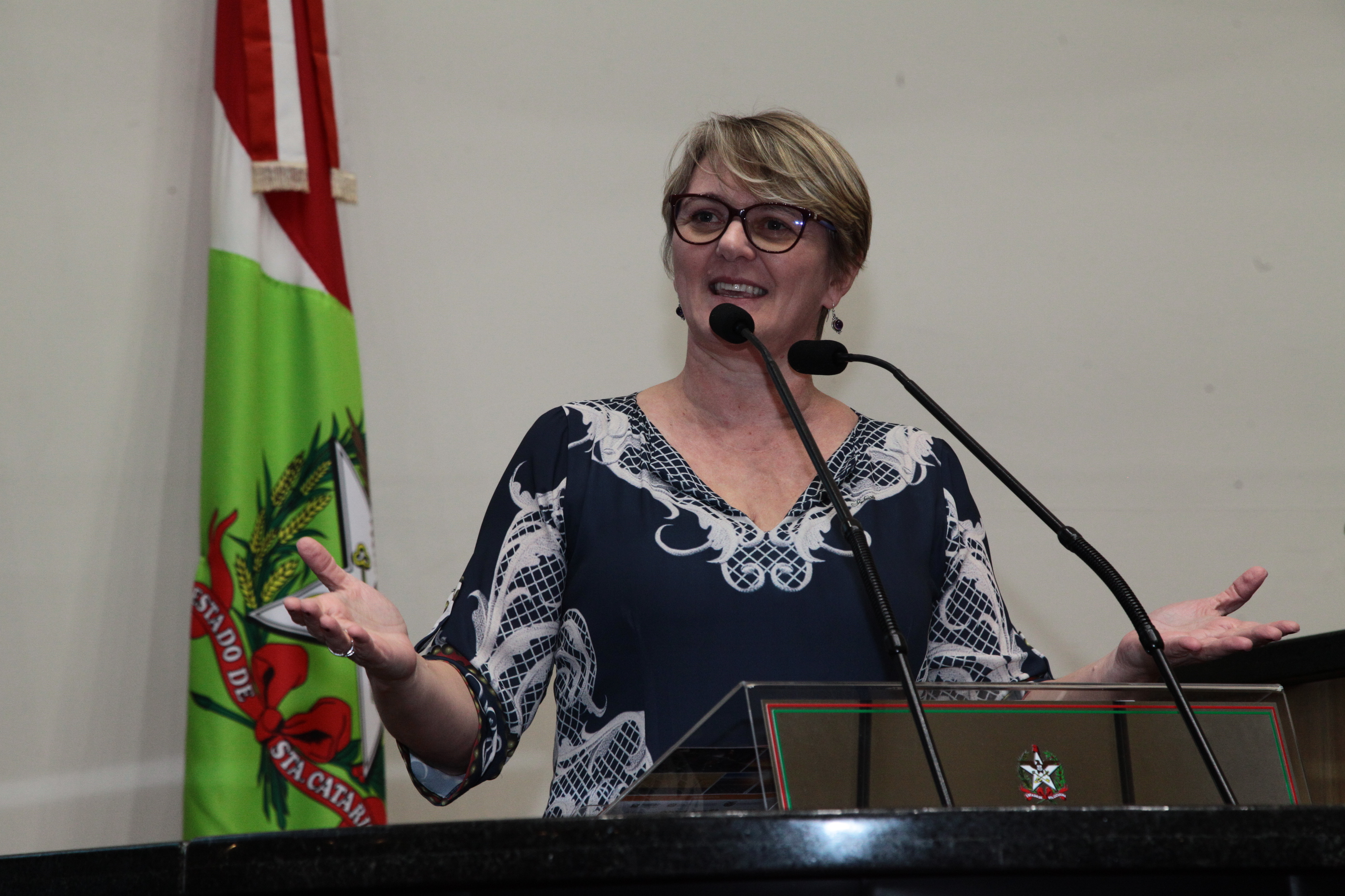 Sessão Ordinária- Deputada Luciane Carminatti (PT)
