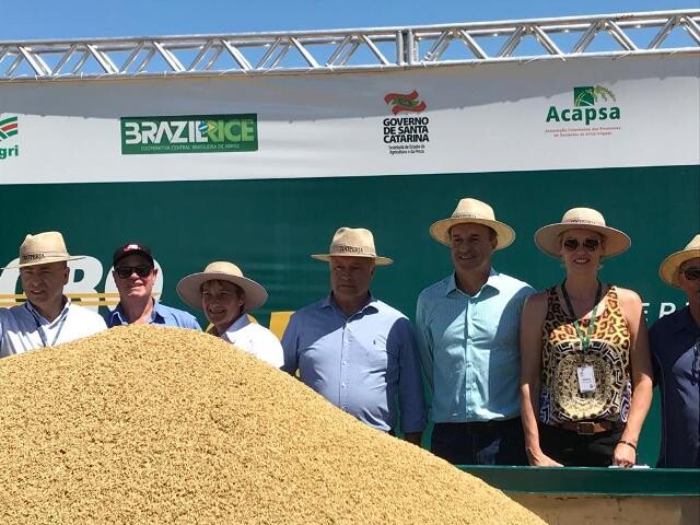 Turvo sediará a 2ª abertura da Colheita do Arroz SC