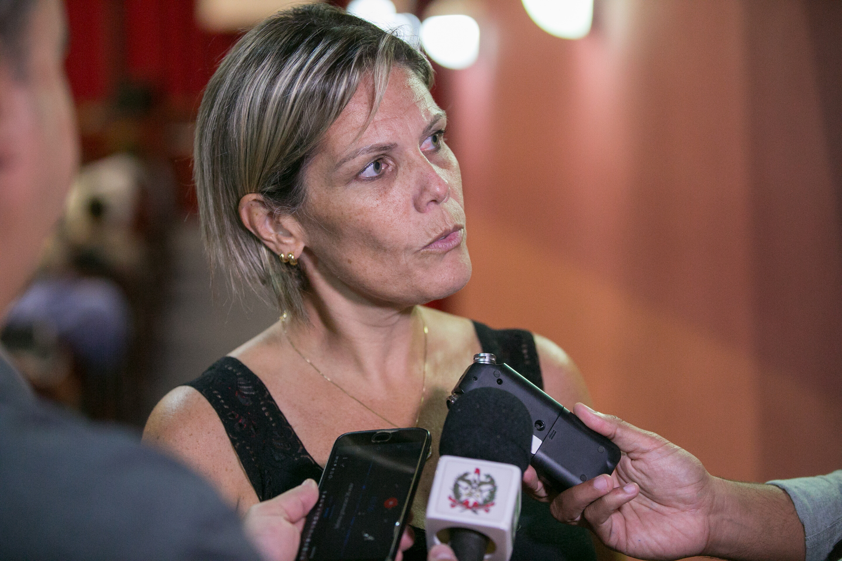 Vanessa Fonseca, professora.
