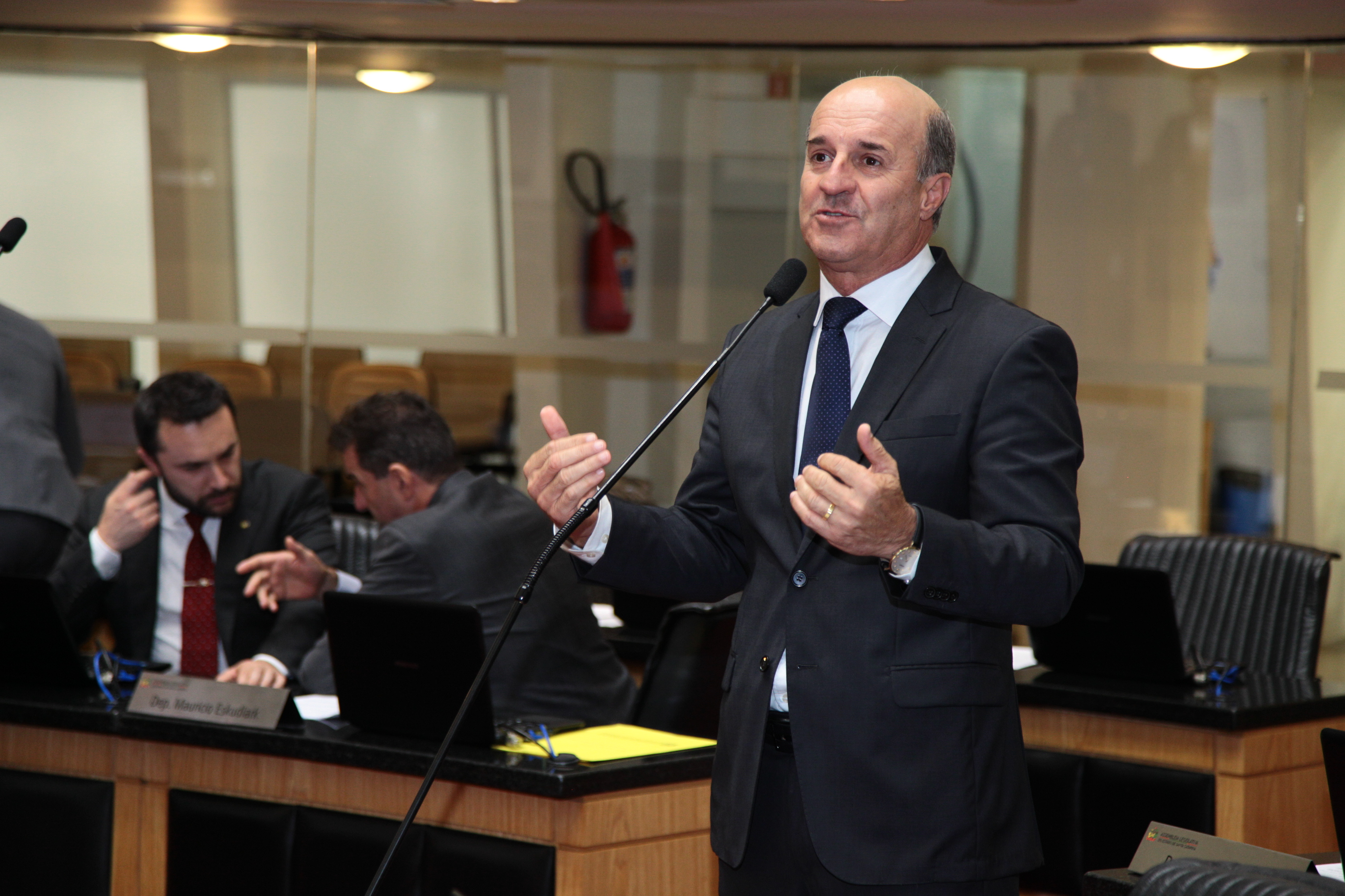 Sessão Ordinária - Deputado Milton Scheffer (PP)