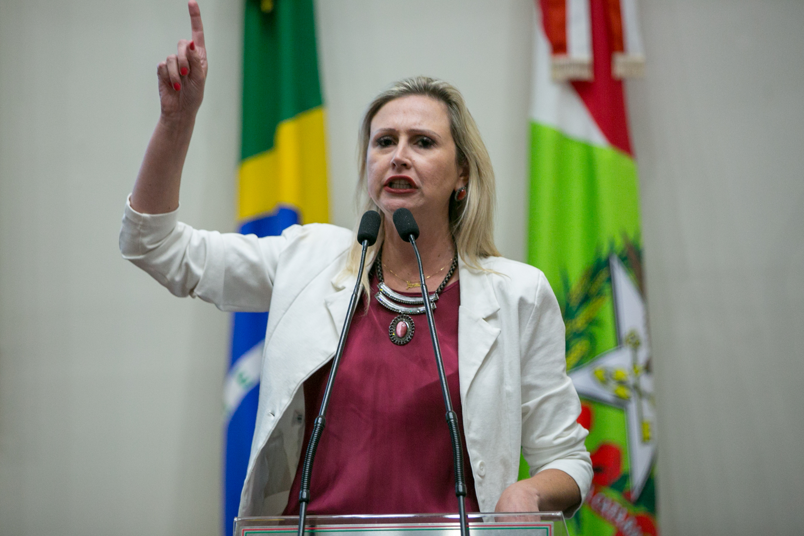 Deputada Anna Carolina (PSDB)
