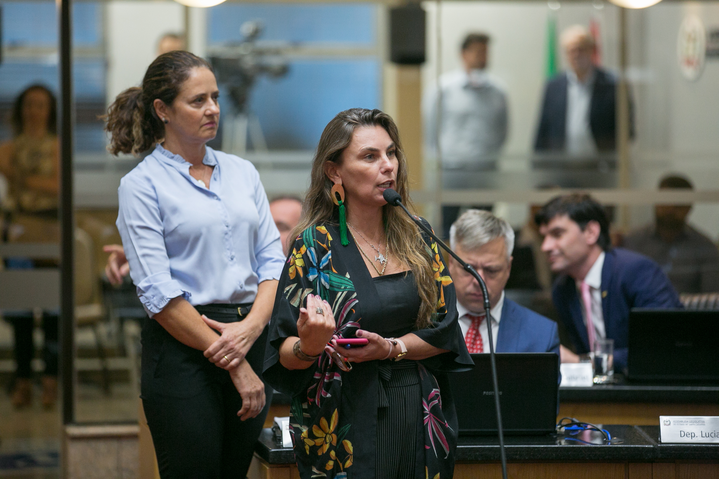 Deputada Paulinha (PDT)