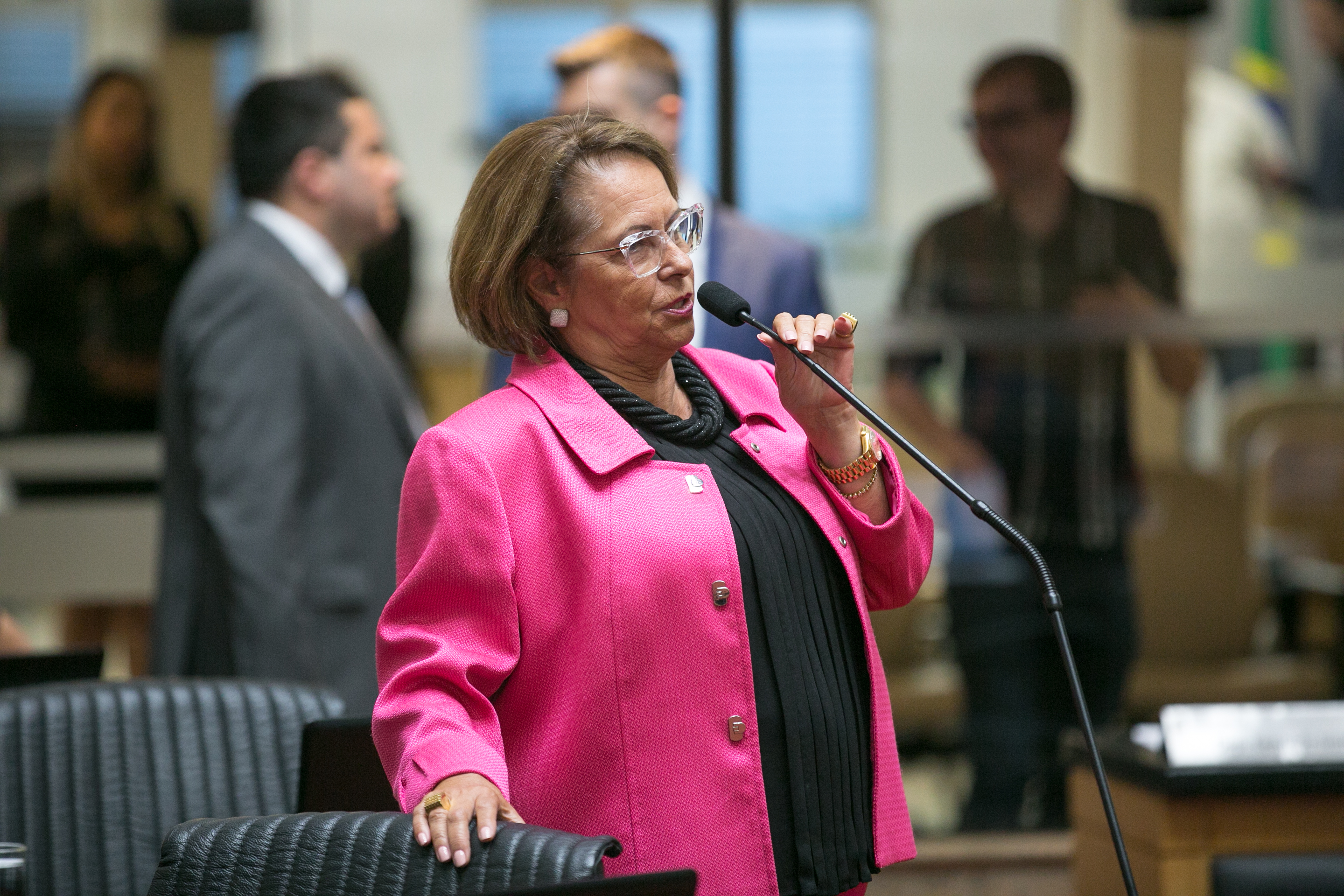 Deputada Ada De Luca (MDB)