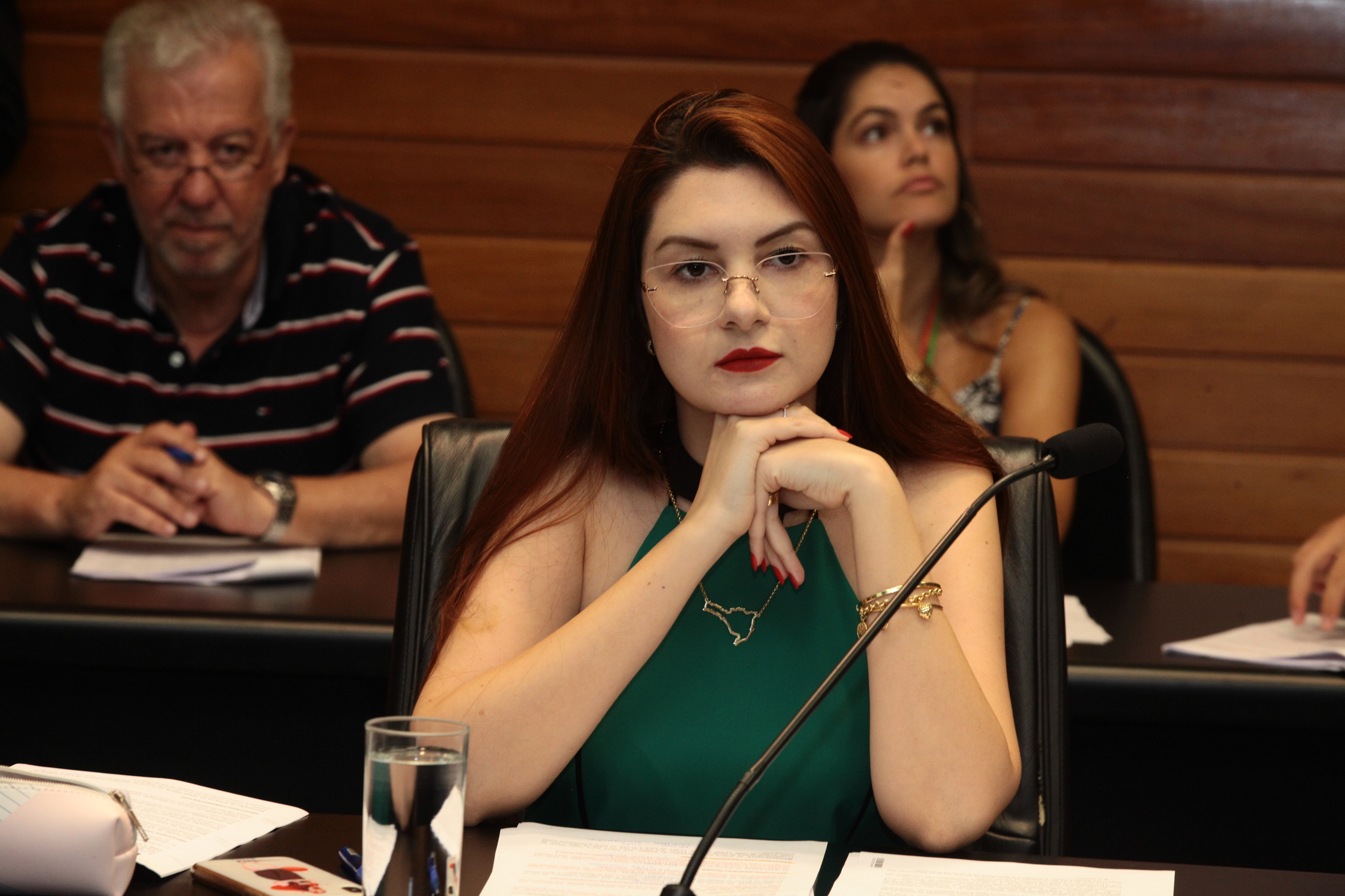 Comissão de Constituição e Justiça - Deputada Ana Caroline Campagnolo (PSL)