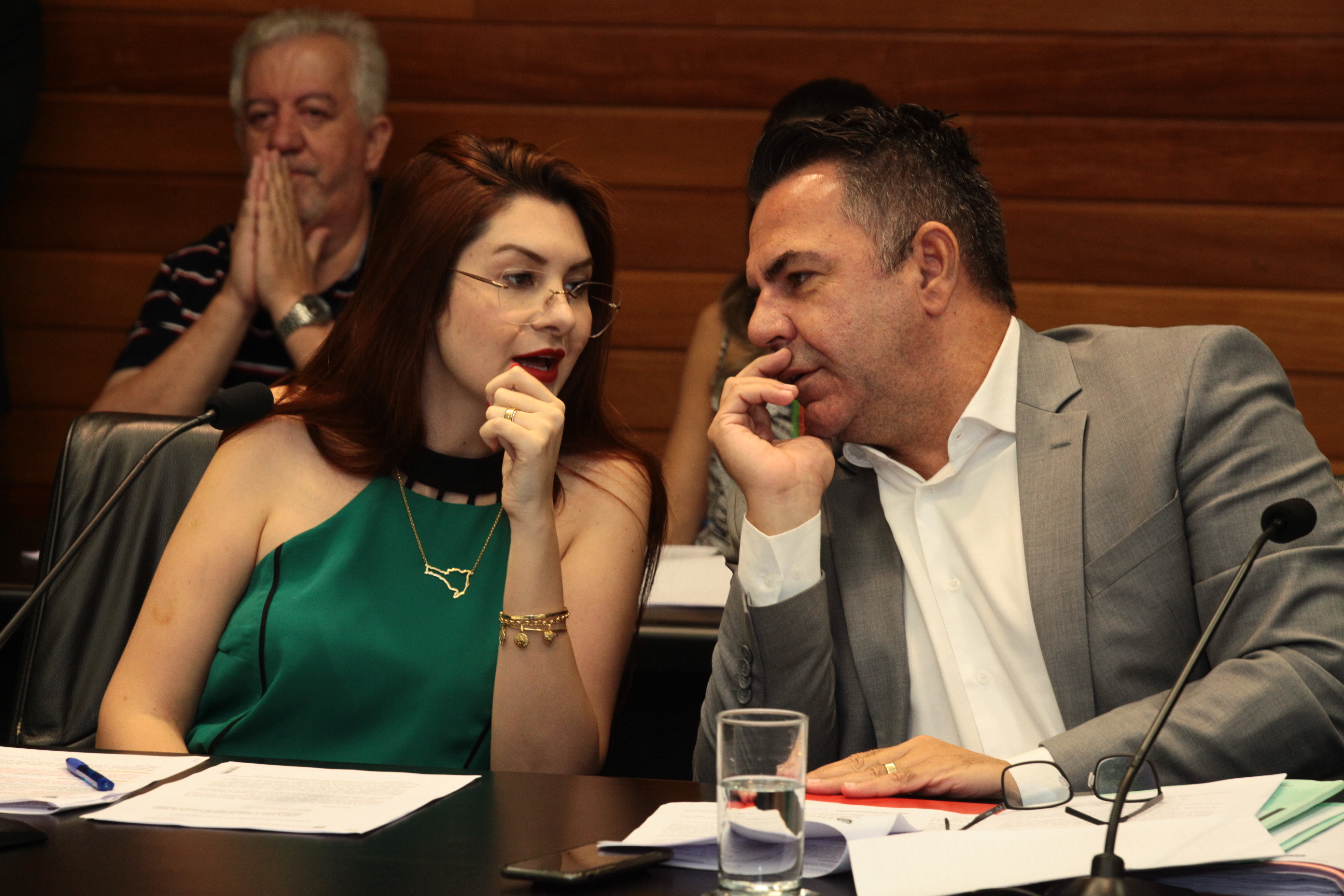 Comissão de Constituição e Justiça - Deputada Ana Caroline Campagnolo (PSL) e deputado Luiz Fernando Vampiro  (MDB)