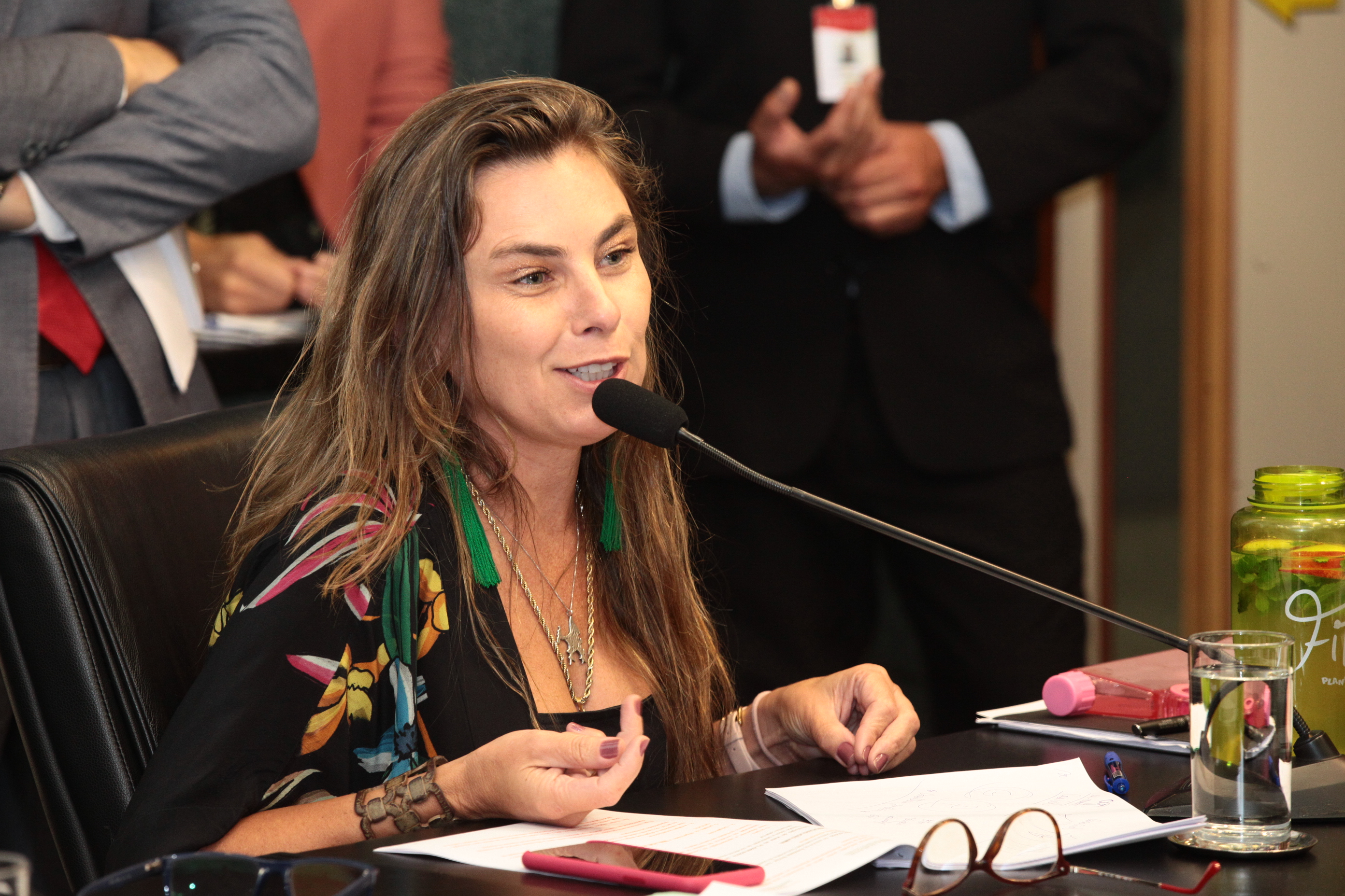Comissão de Constituição e Justiça