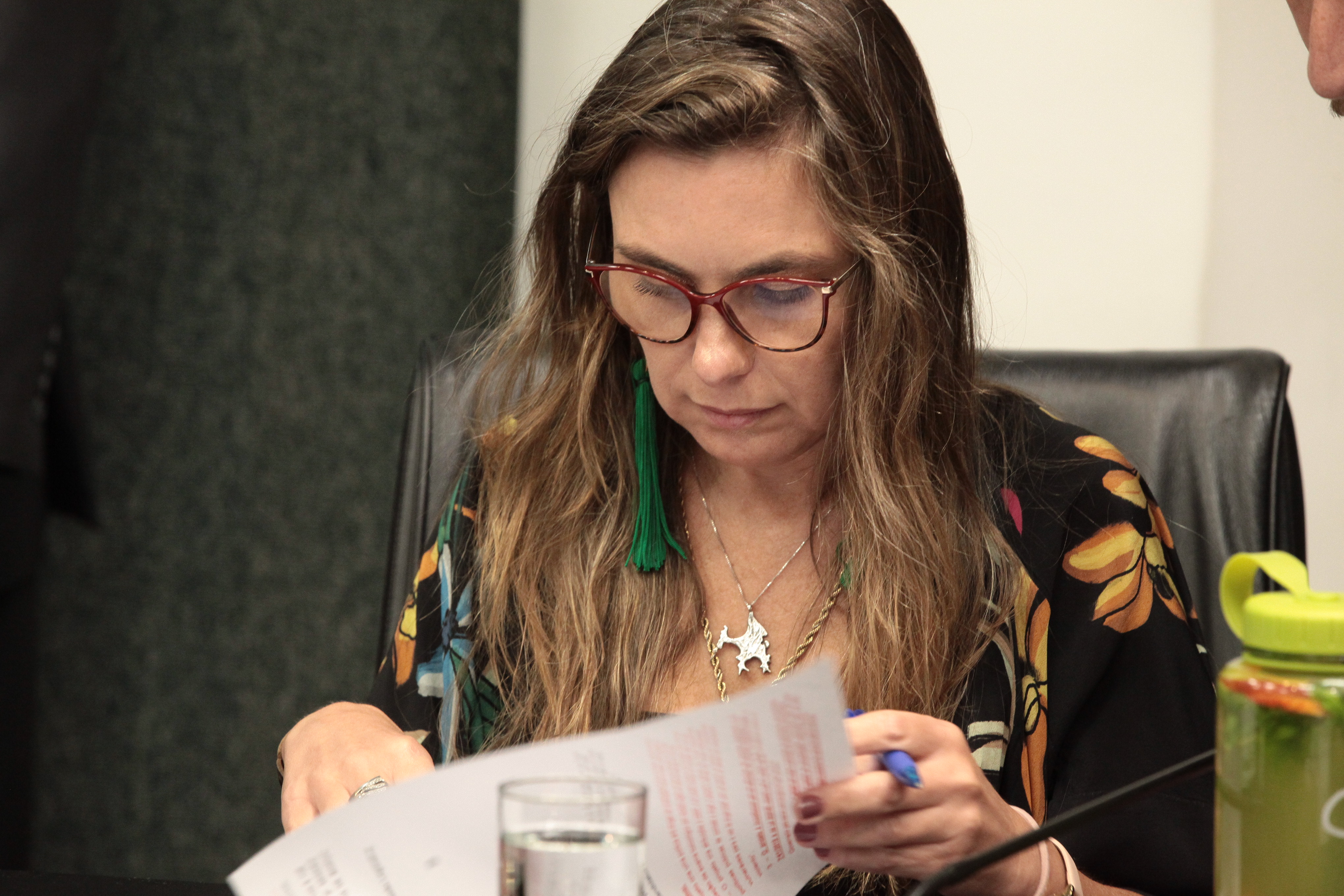 - Deputada Ana Paula da Silva (PDT)