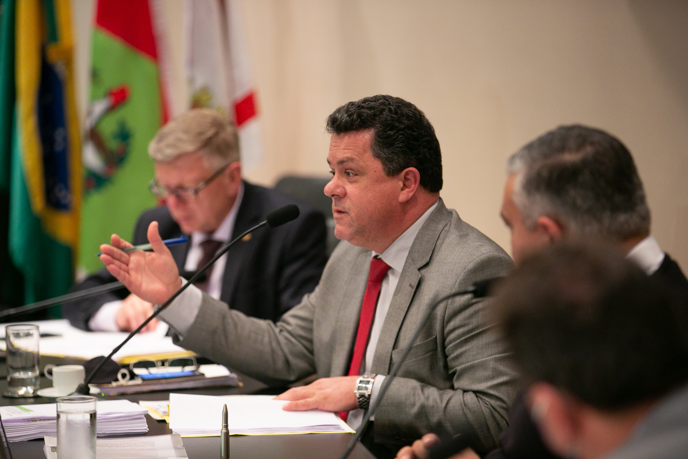 Deputado Ivan Naatz (PL)