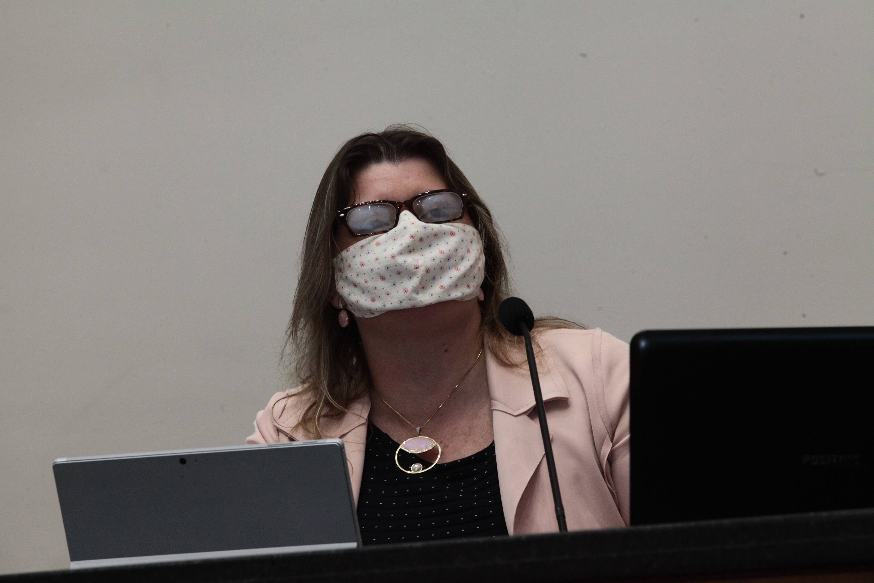 Audiência Pública - Políticas Públicas Relacionas à Covid-10 - Michele Patricia Roncalio, secretária adjunta da Secretaria da Fazenda
