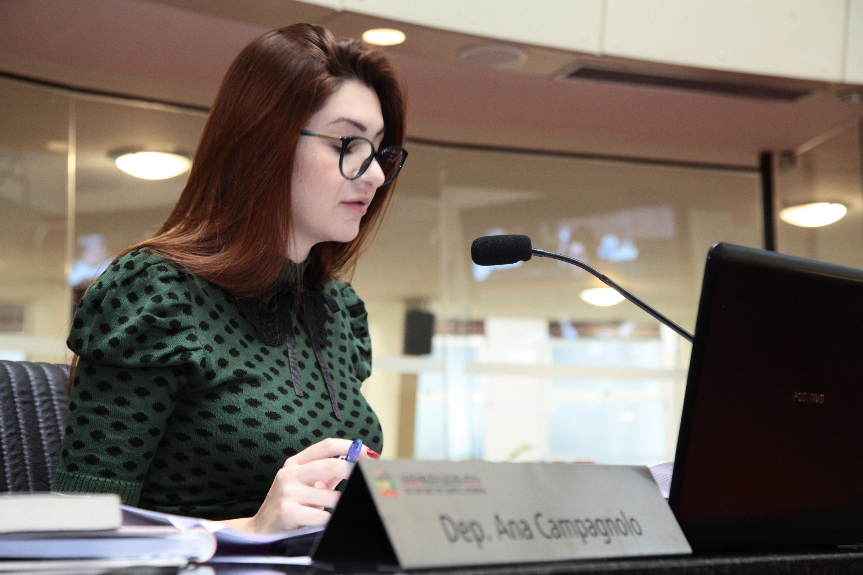 Comissão de Constituição e Justiça - Deputada Ana Caroline Campagnolo (PSL)