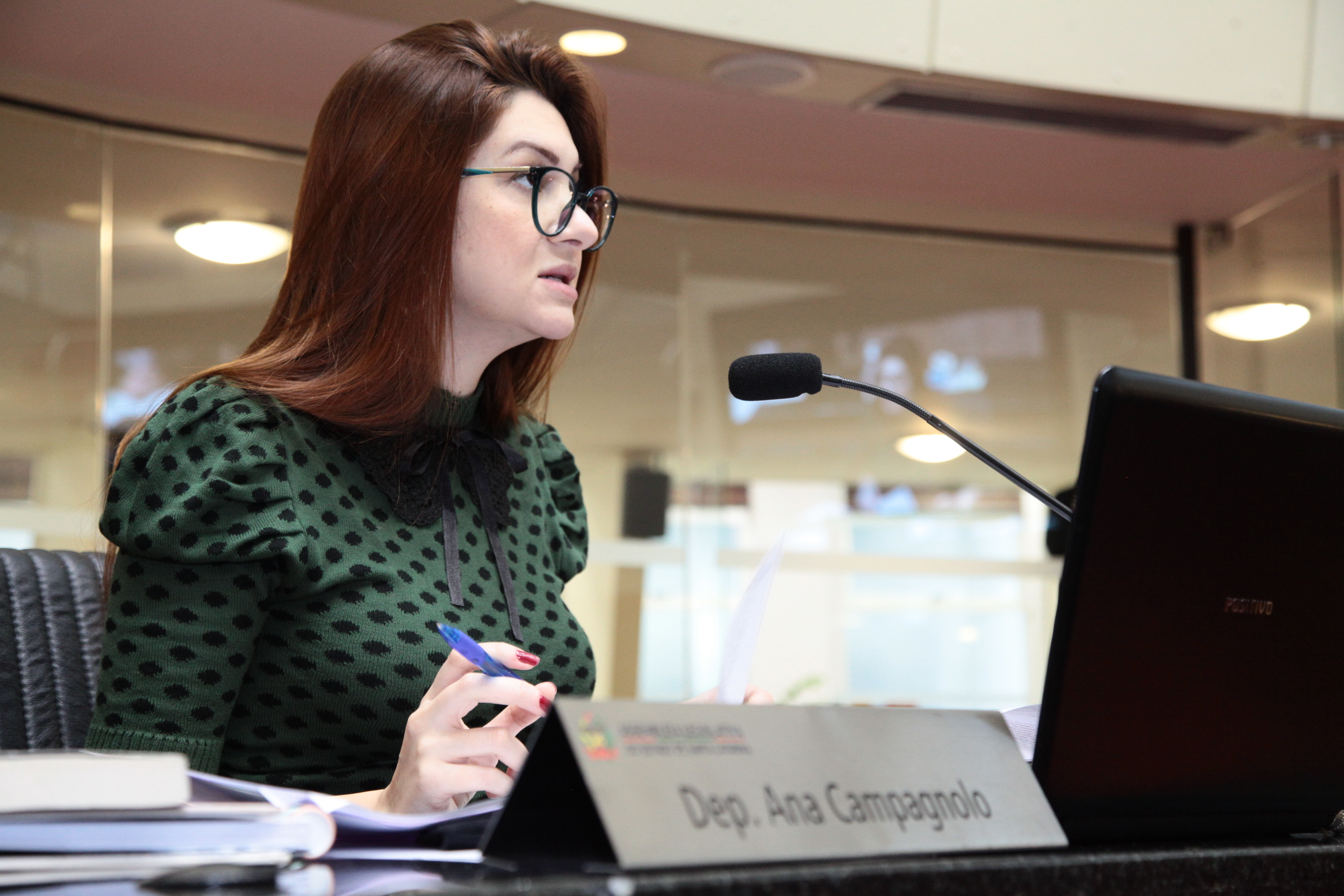 Comissão de Constituição e Justiça - Deputada Ana Caroline Campagnolo (PSL)